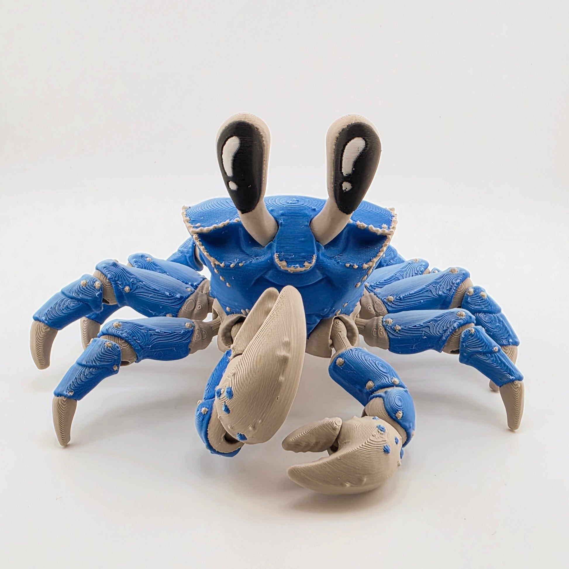 Front angled view of a blue articulated 3D printed ghost crab with raised claws.