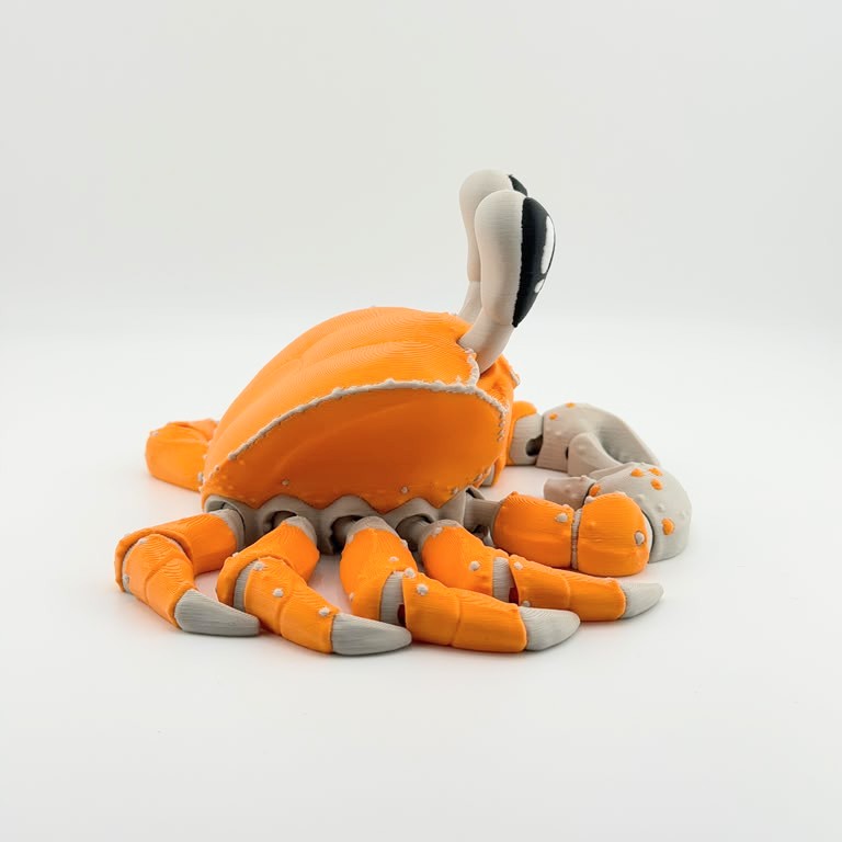 Rear angled view of an orange articulated 3D printed ghost crab.