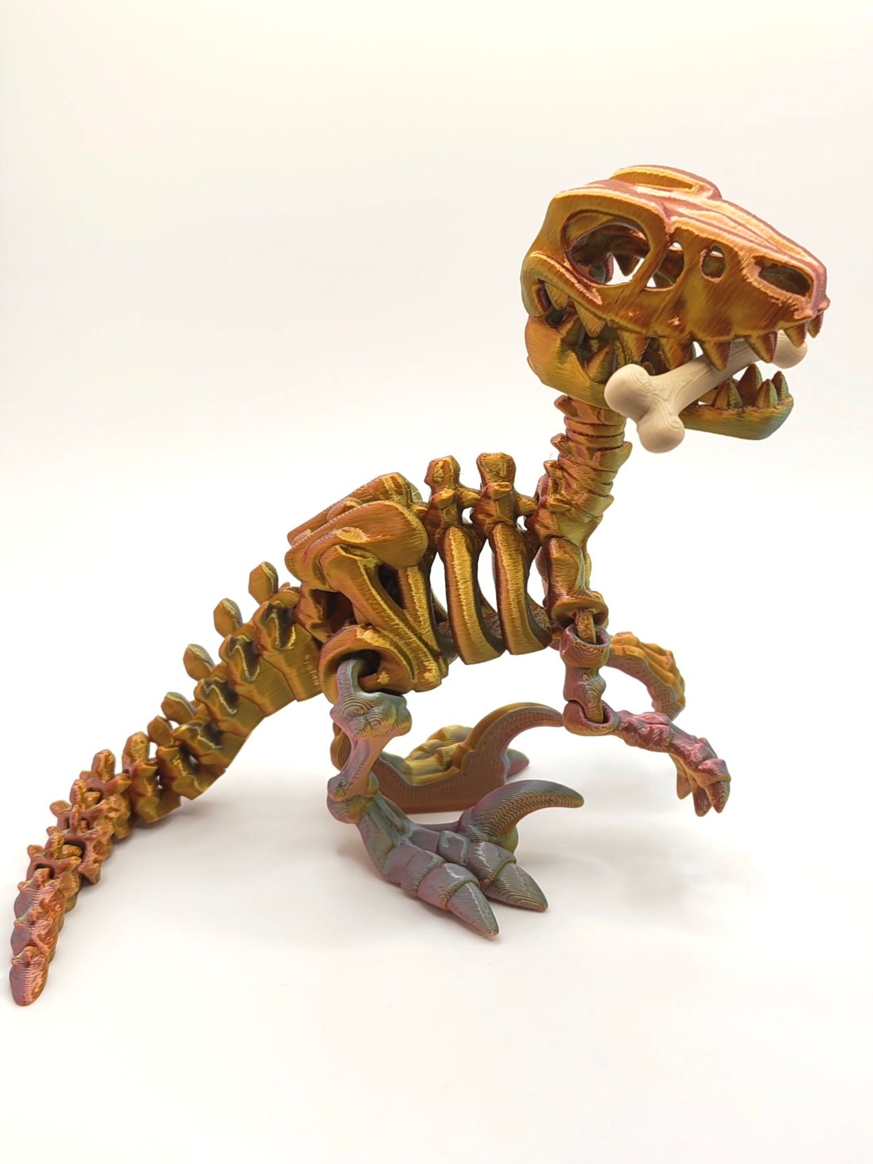 Skeleton Velocitaptor