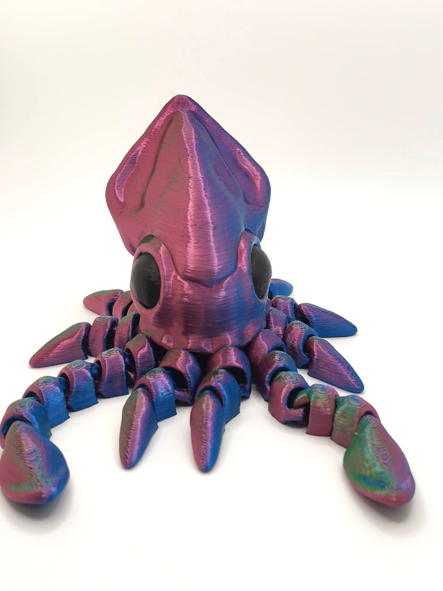 Squid