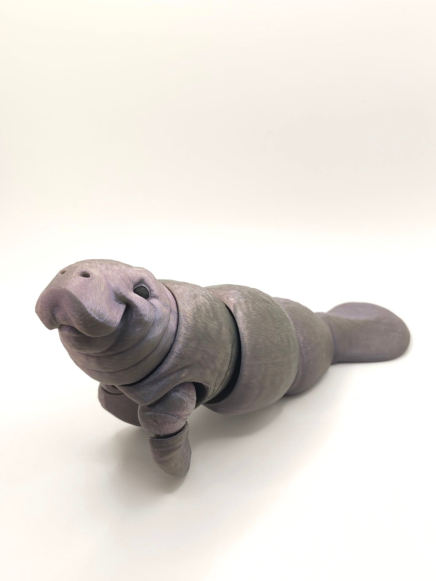 Manatee