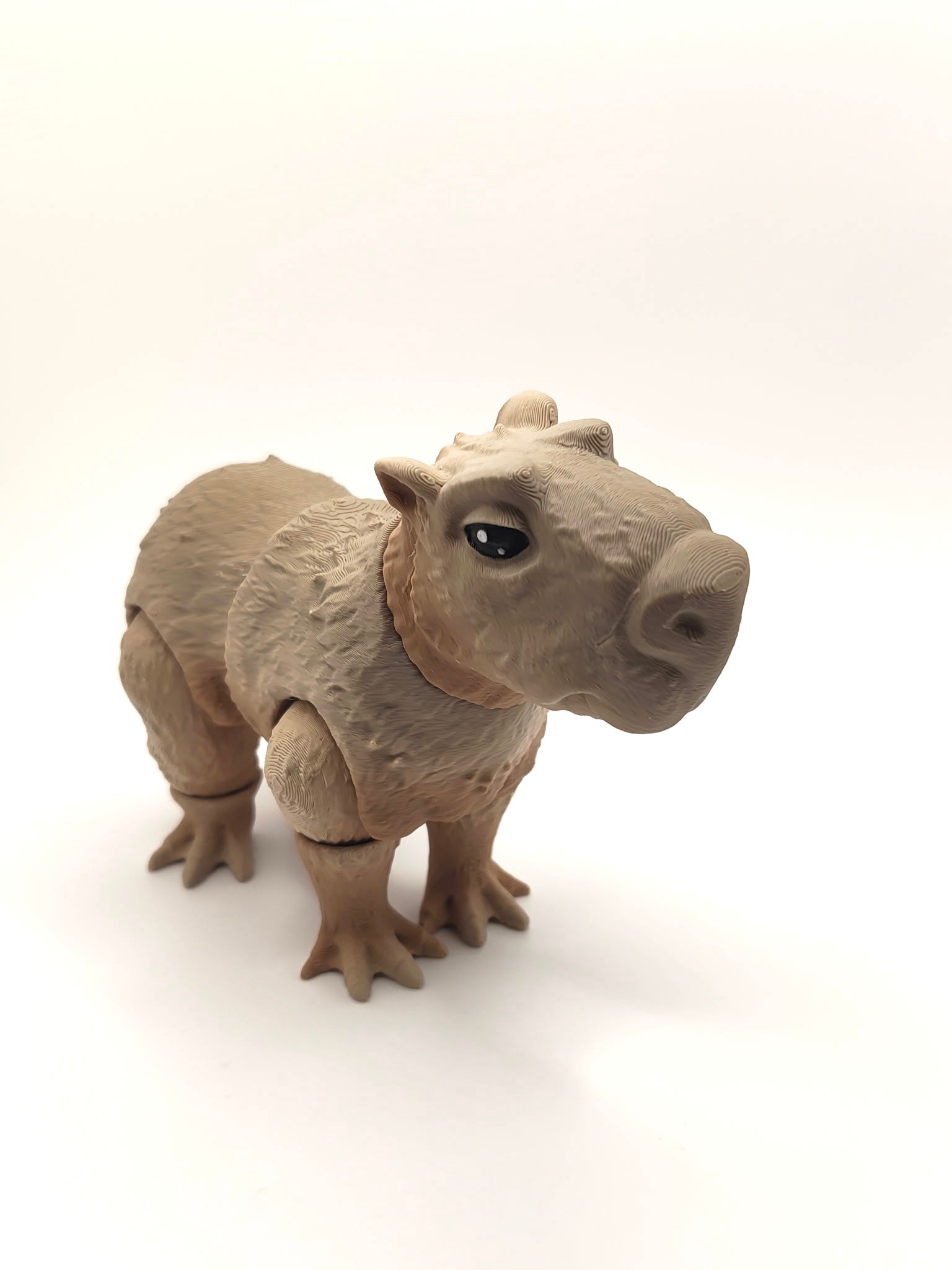Capybara