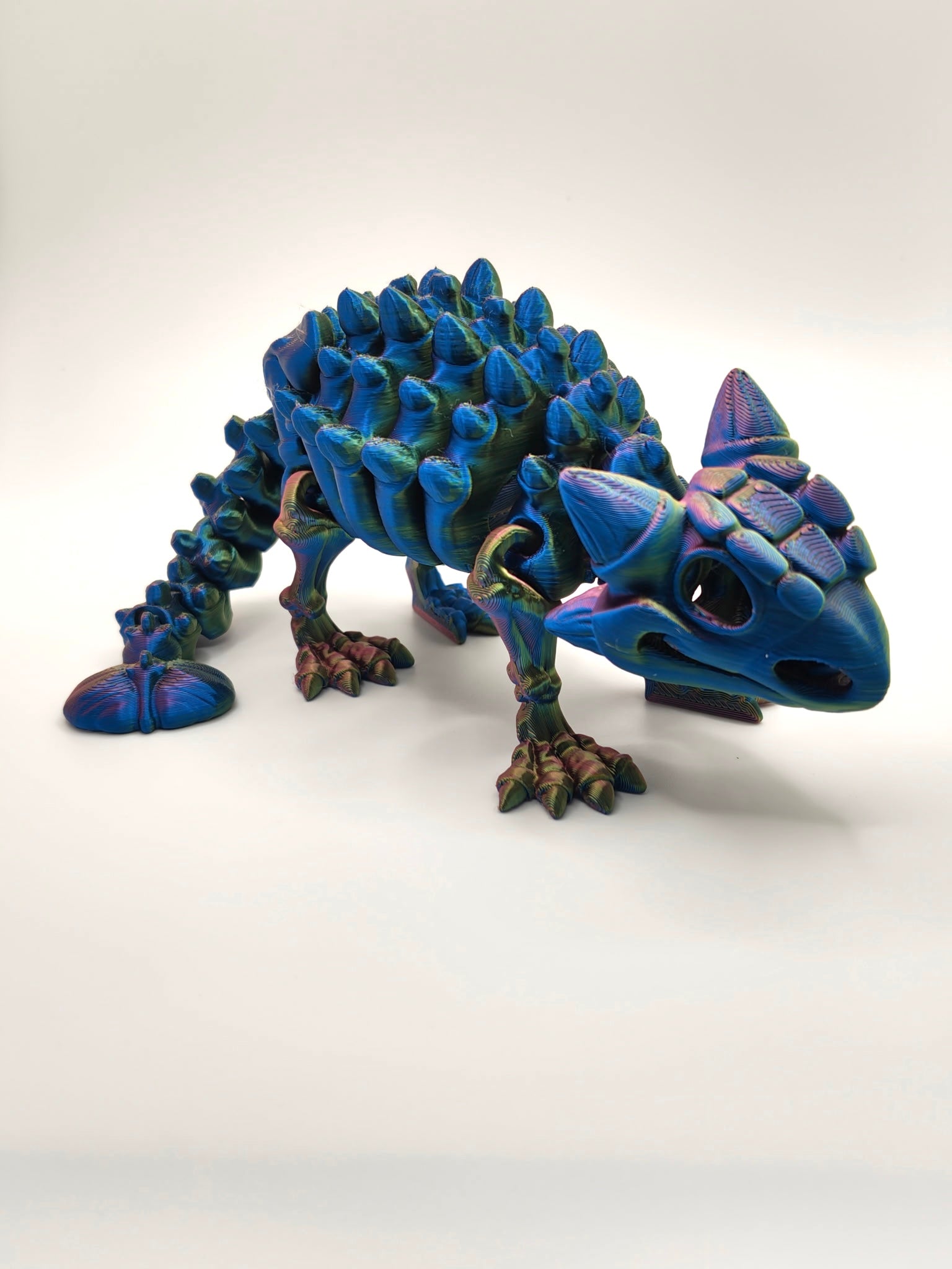 Skeleton Ankylosaurus