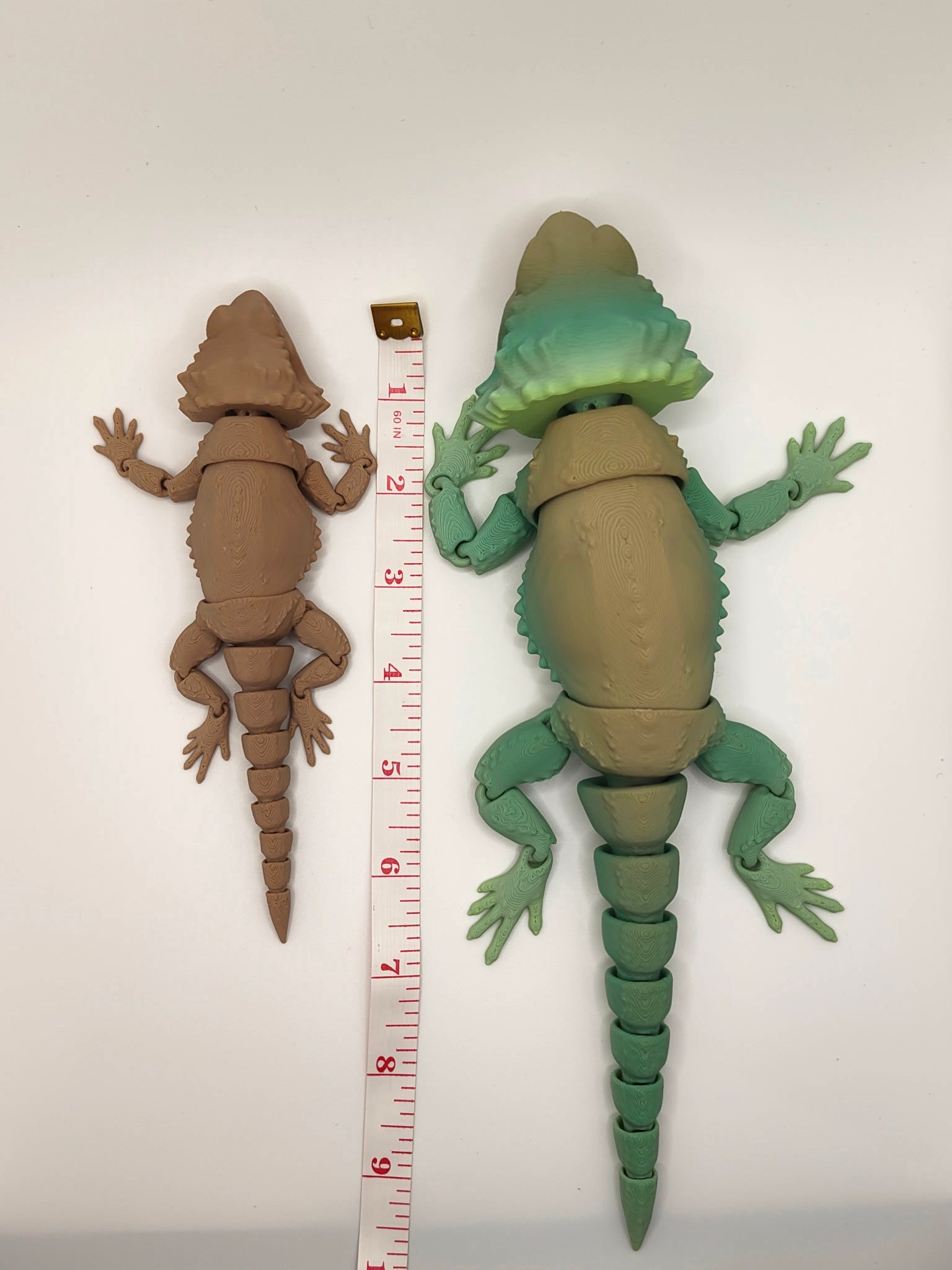 Bearded Dragon