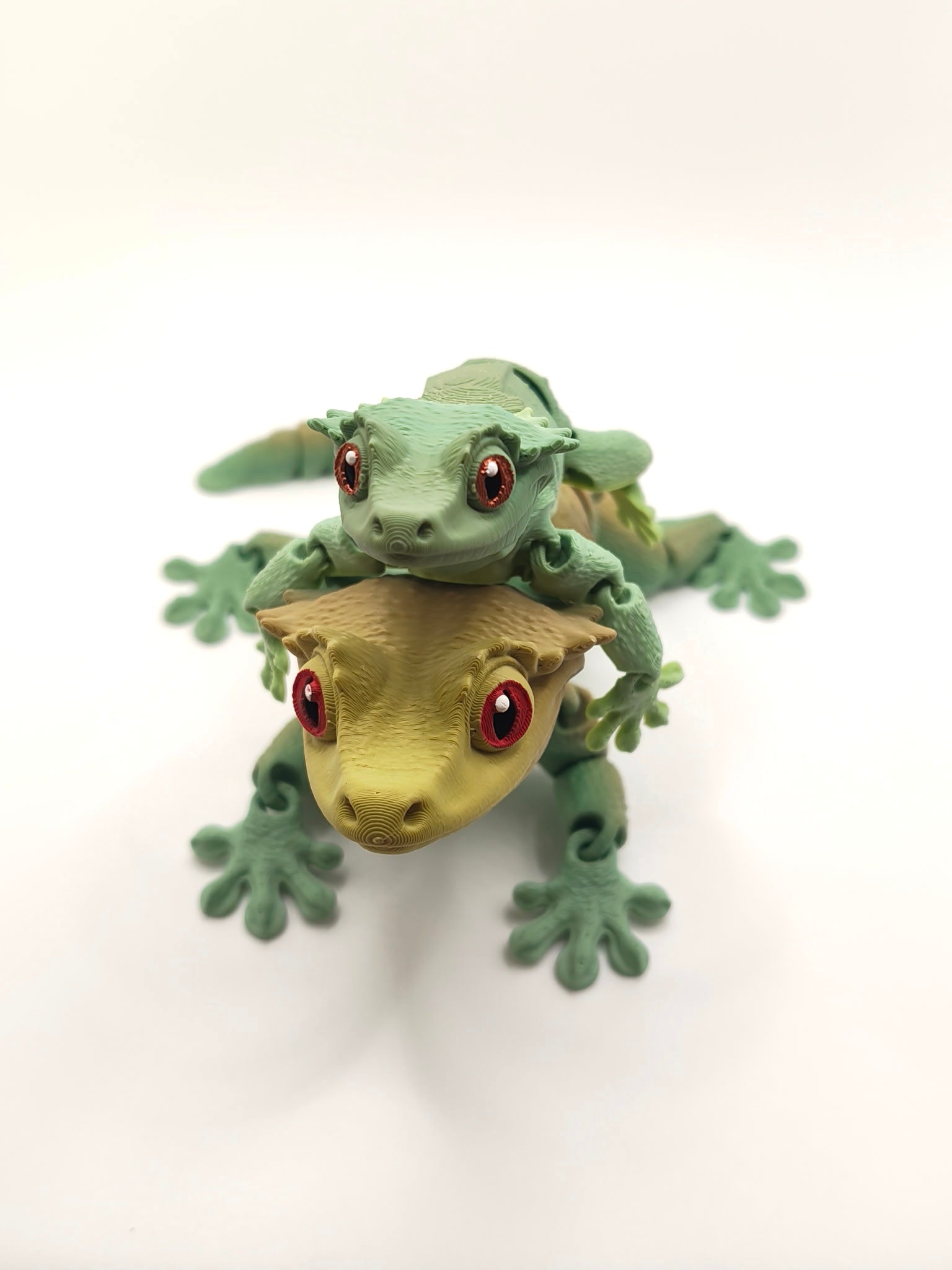 Crested Gecko