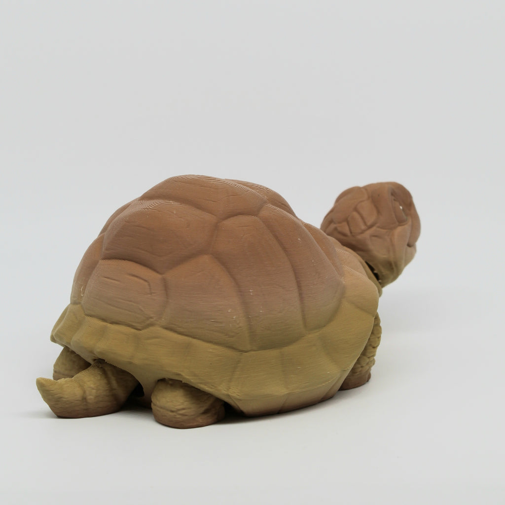 Tortoise – 3D Printed Tortoise with Retractable Head & Legs