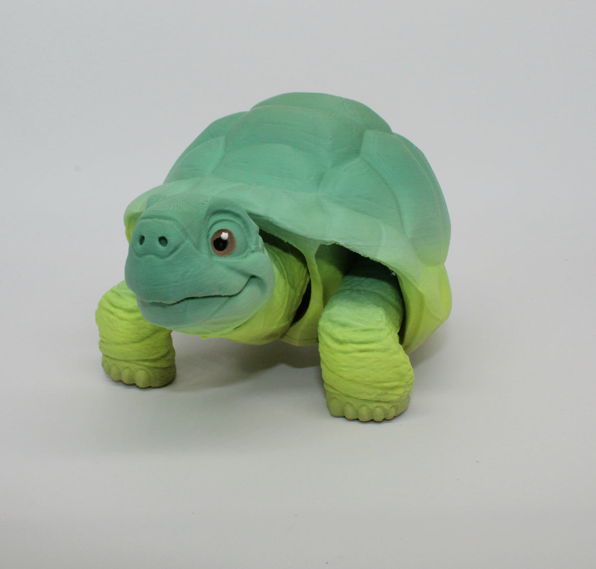 Tortoise – 3D Printed Tortoise with Retractable Head & Legs