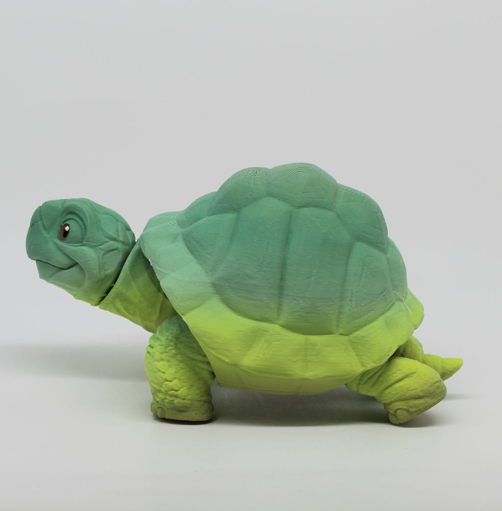 Tortoise – 3D Printed Tortoise with Retractable Head & Legs