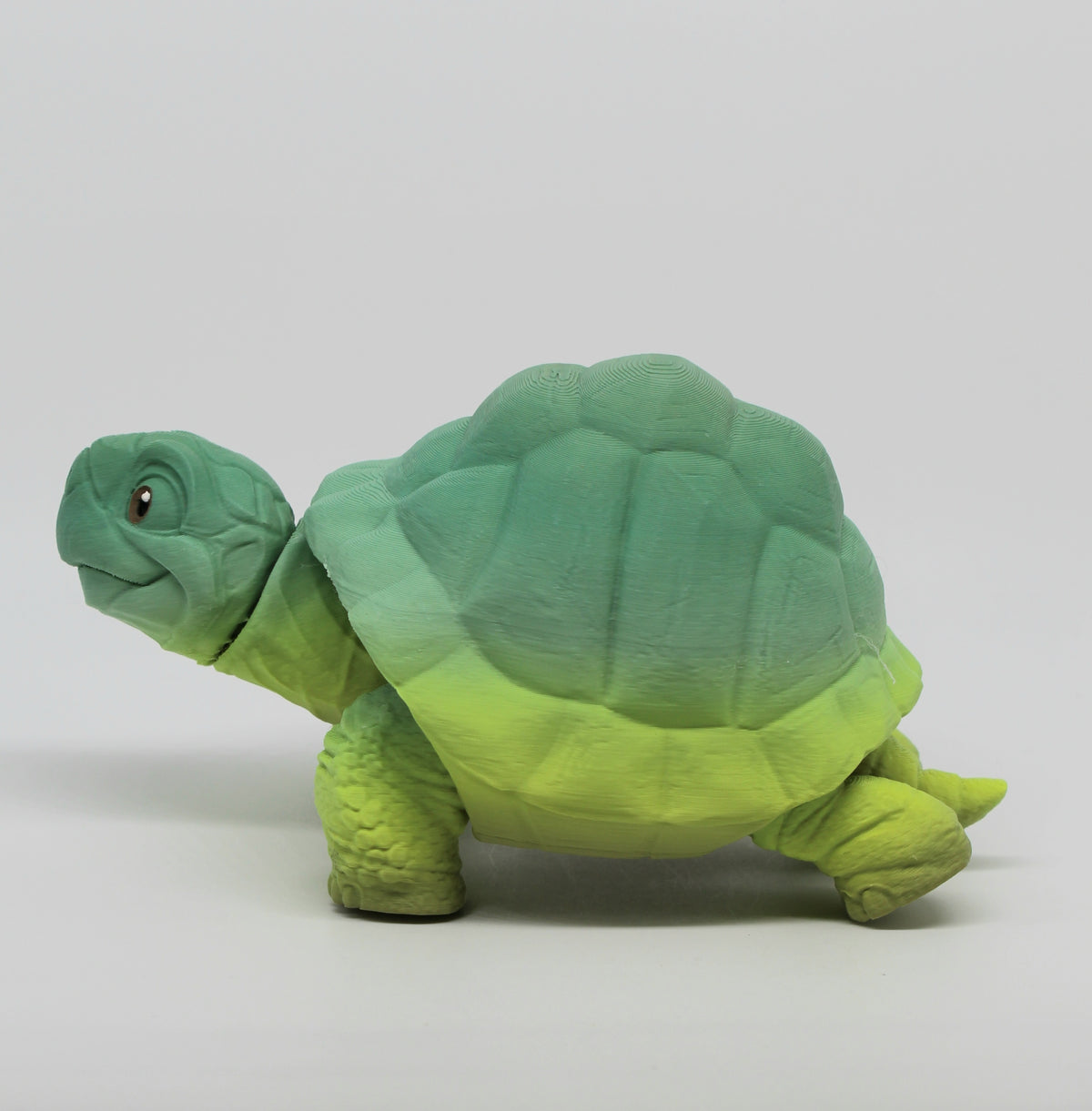 Tortoise – 3D Printed Tortoise with Retractable Head & Legs