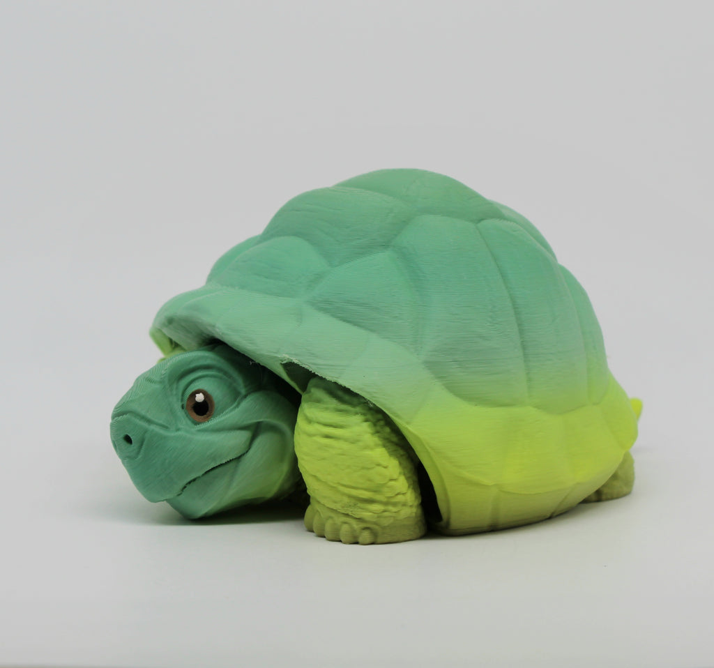 Tortoise – 3D Printed Tortoise with Retractable Head & Legs