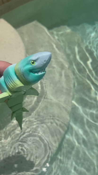 Great White Shark
