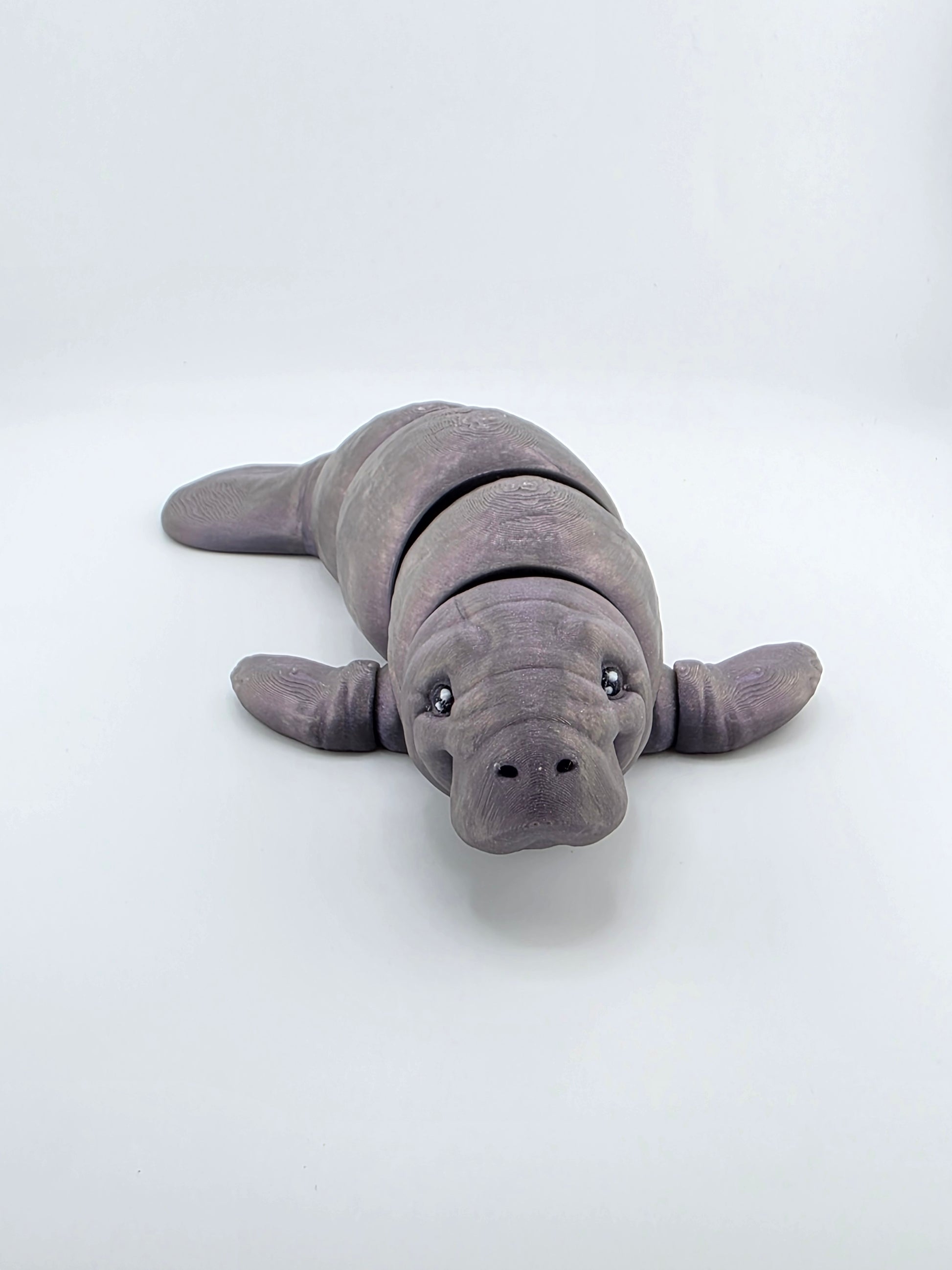 Manatee