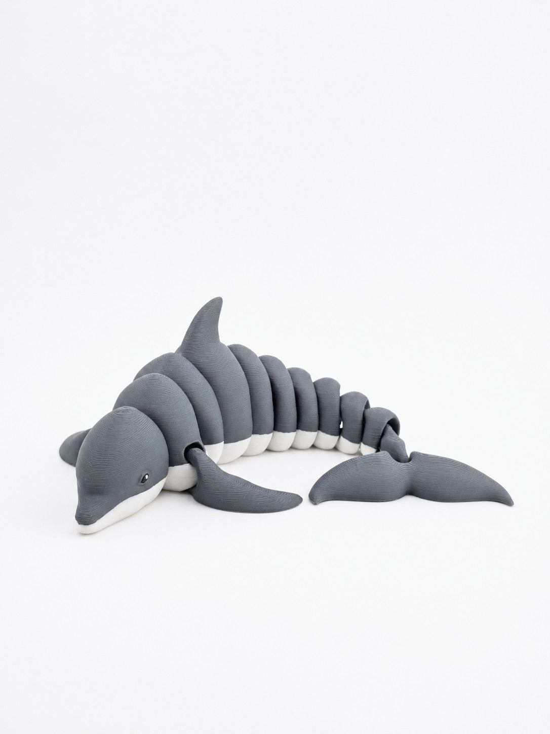 Dolphin