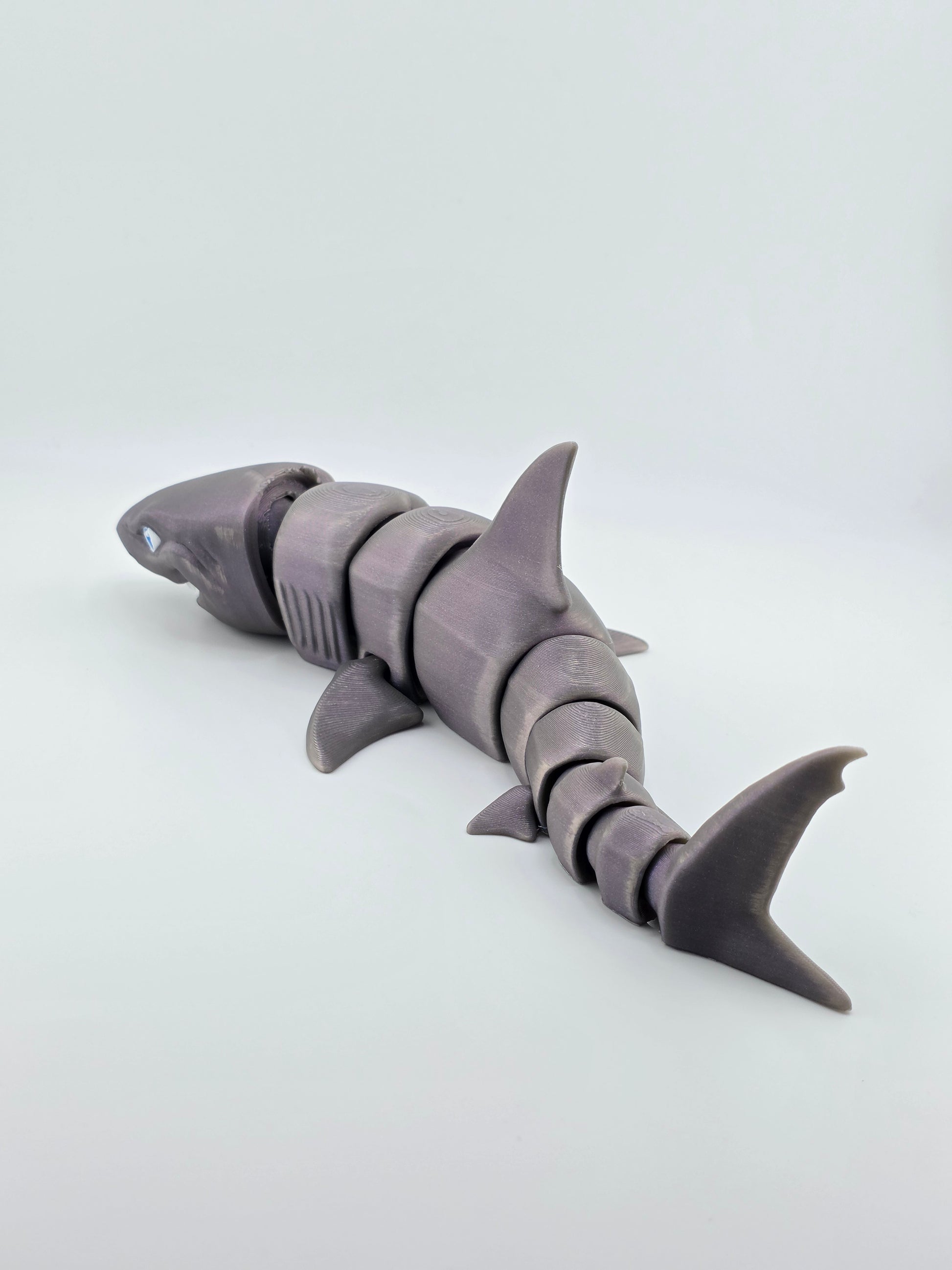 Great White Shark
