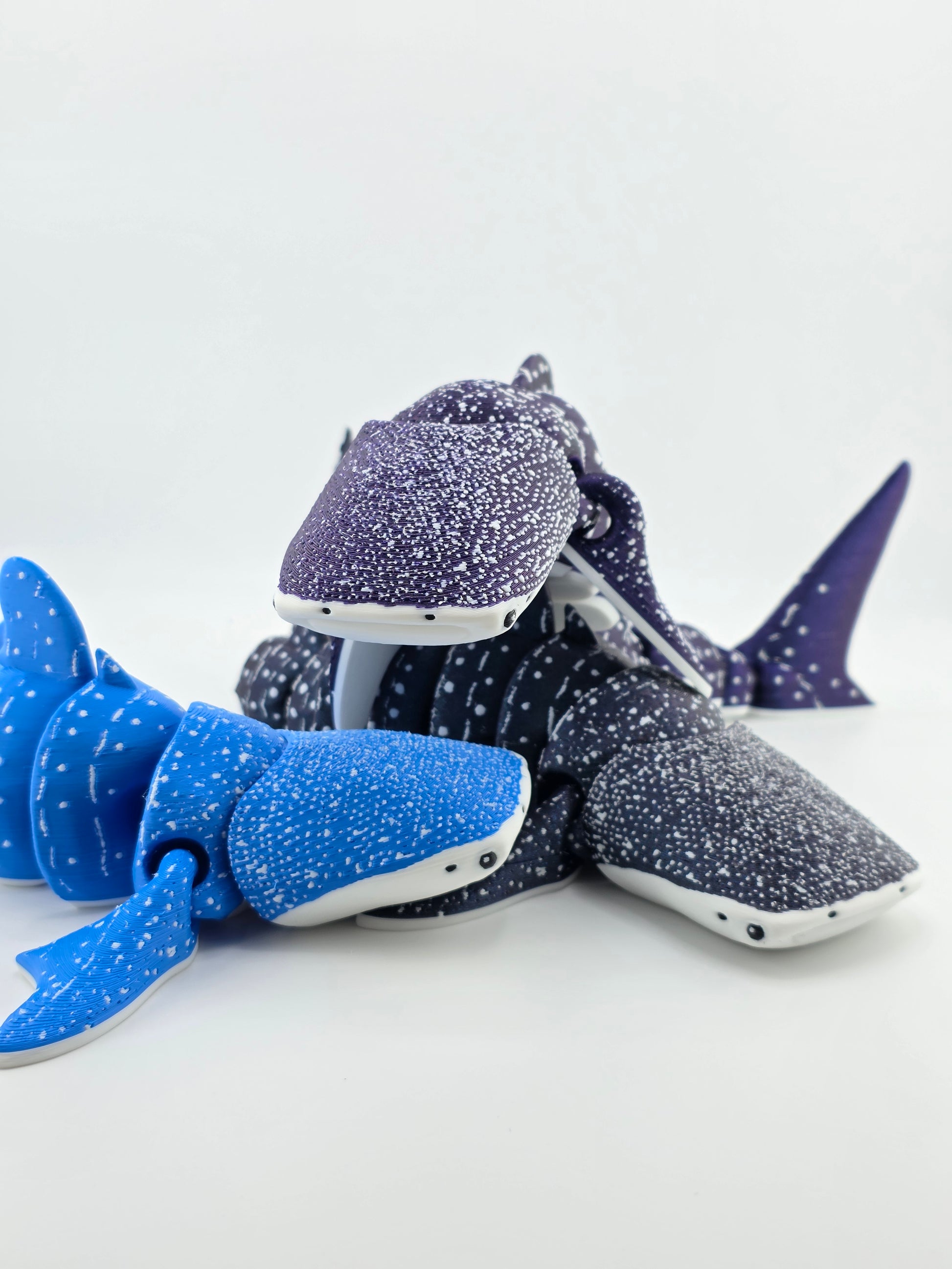 Whale Shark