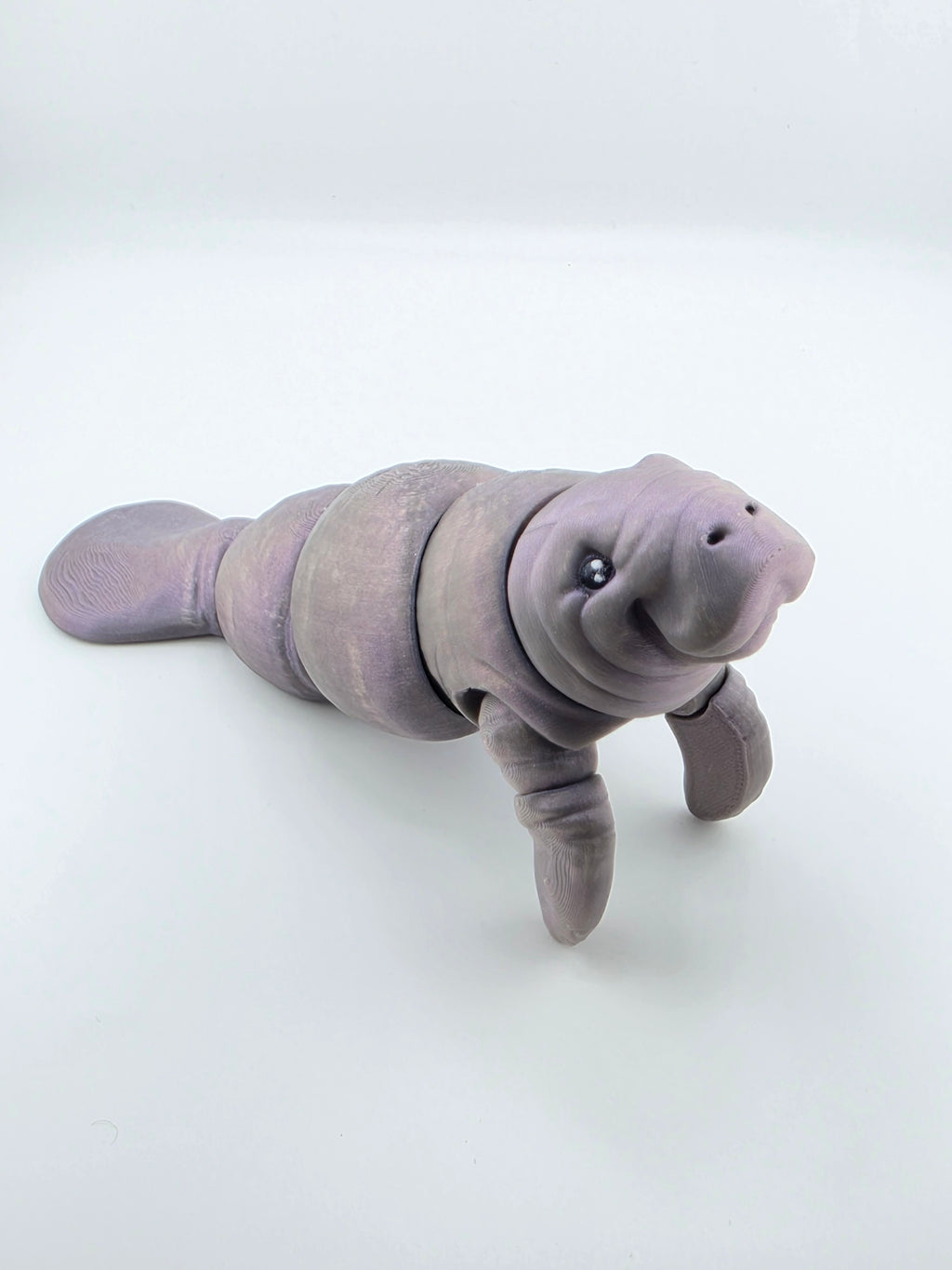 Manatee