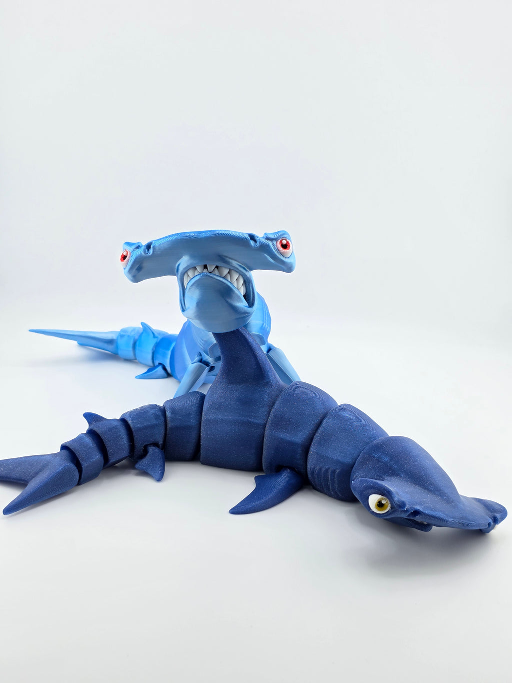 Hammerhead Shark