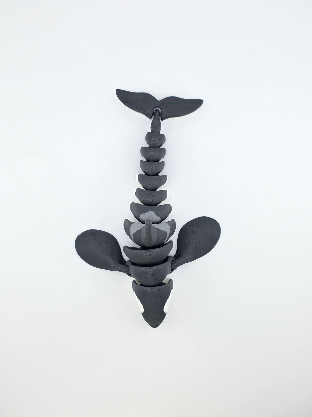 Orca