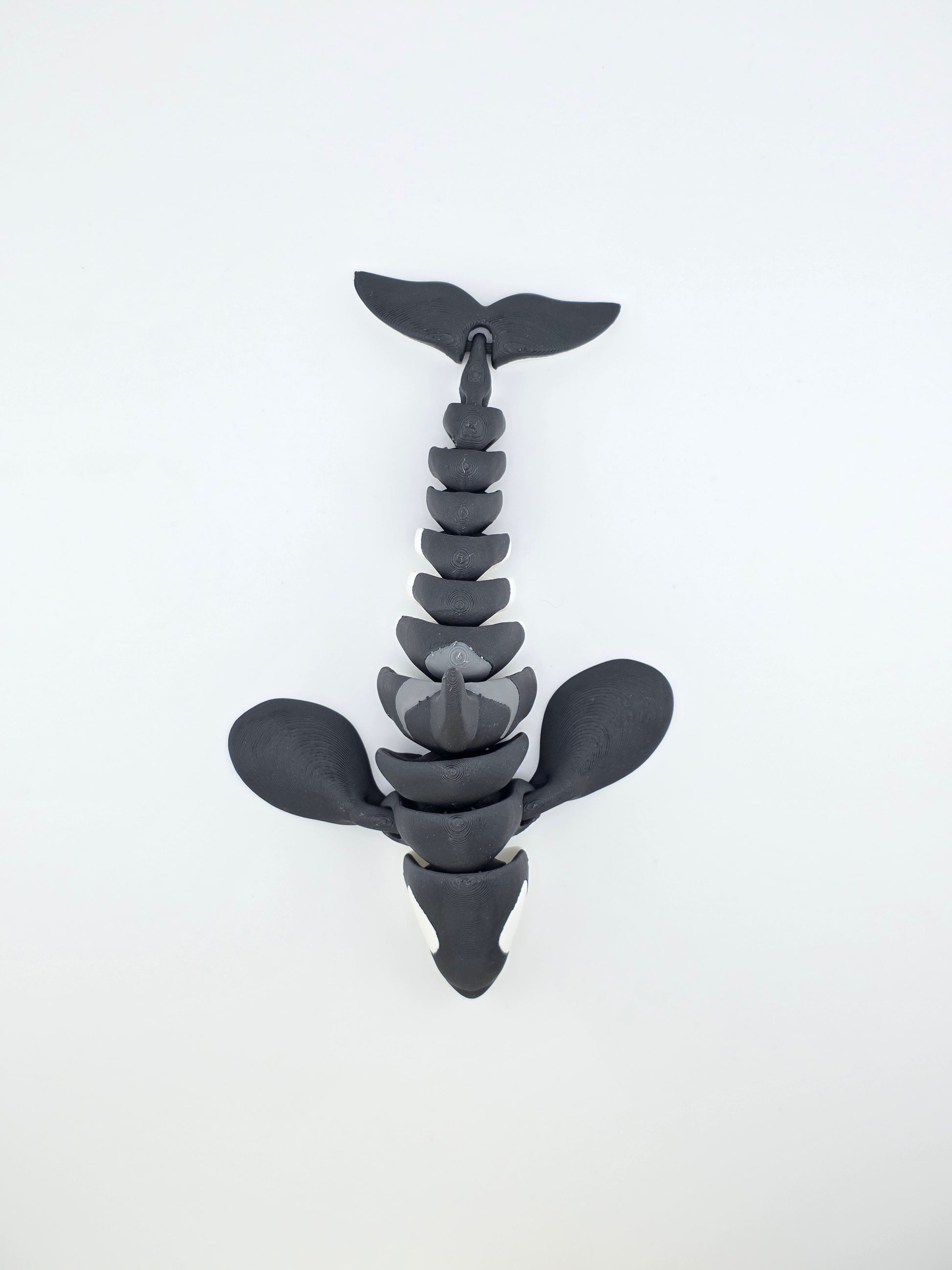 Orca