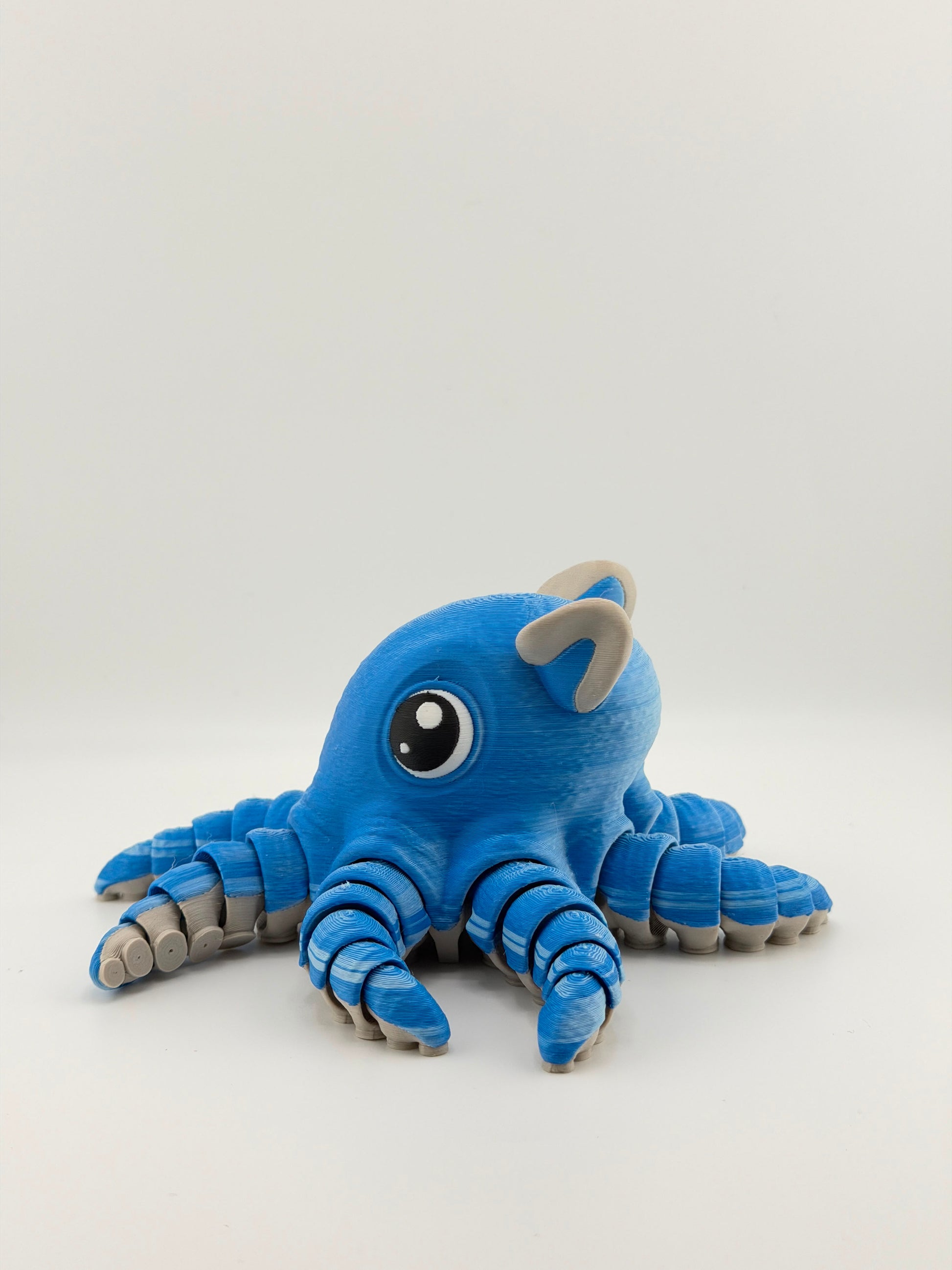 Flapjack Octopus