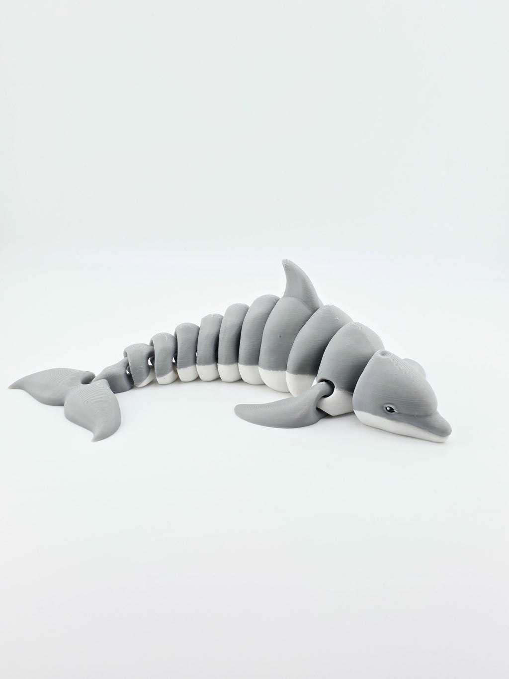 Dolphin