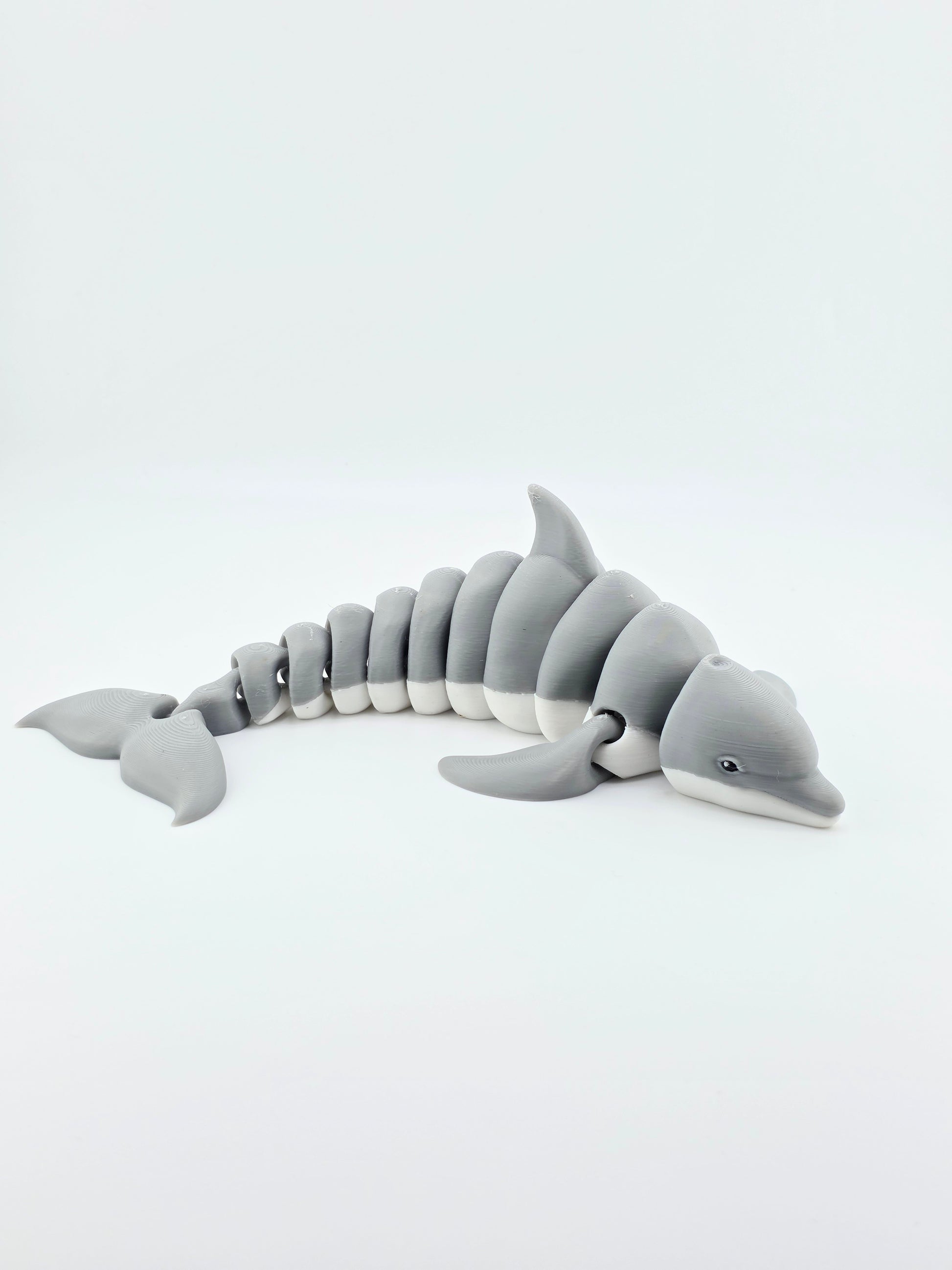 Dolphin