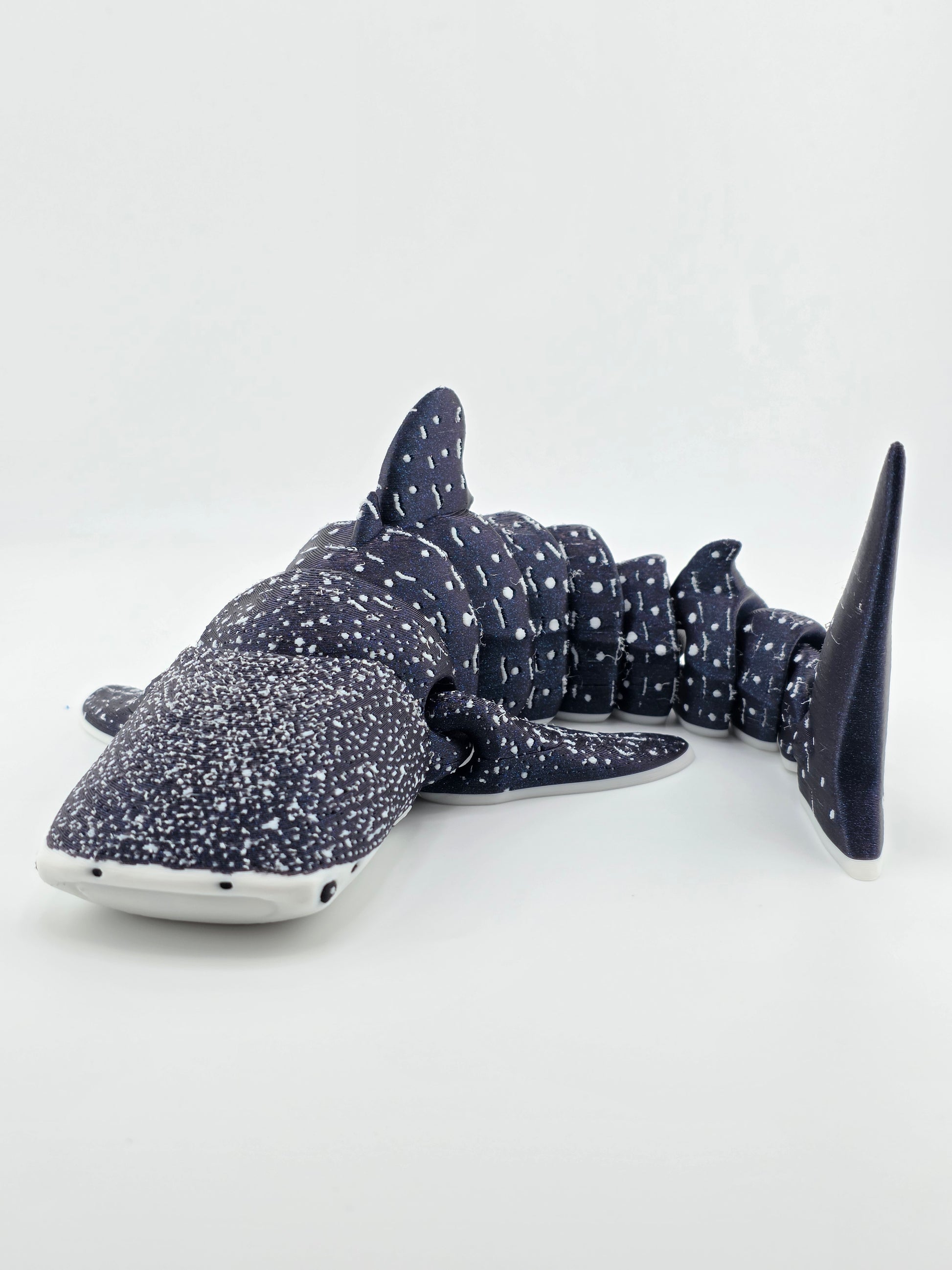 Whale Shark