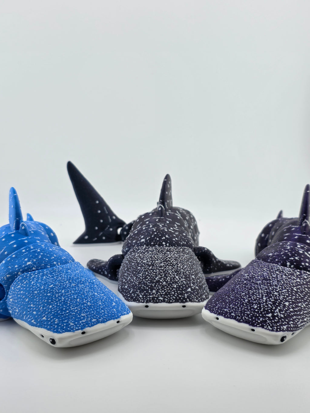 Whale Shark