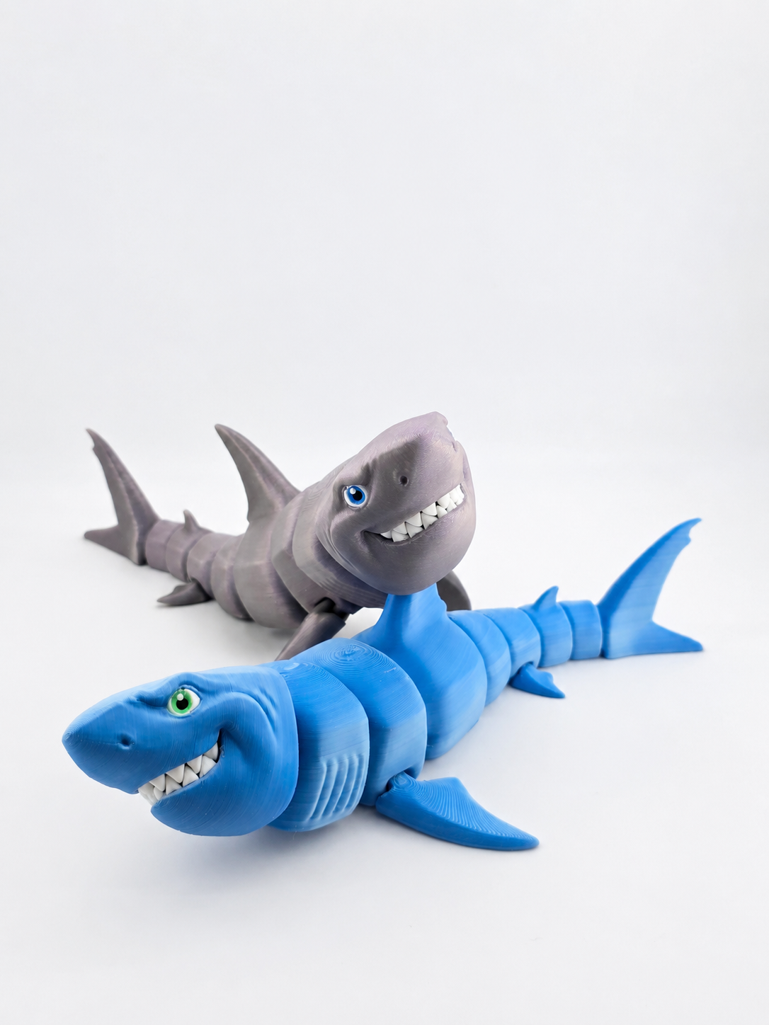 Great White Shark
