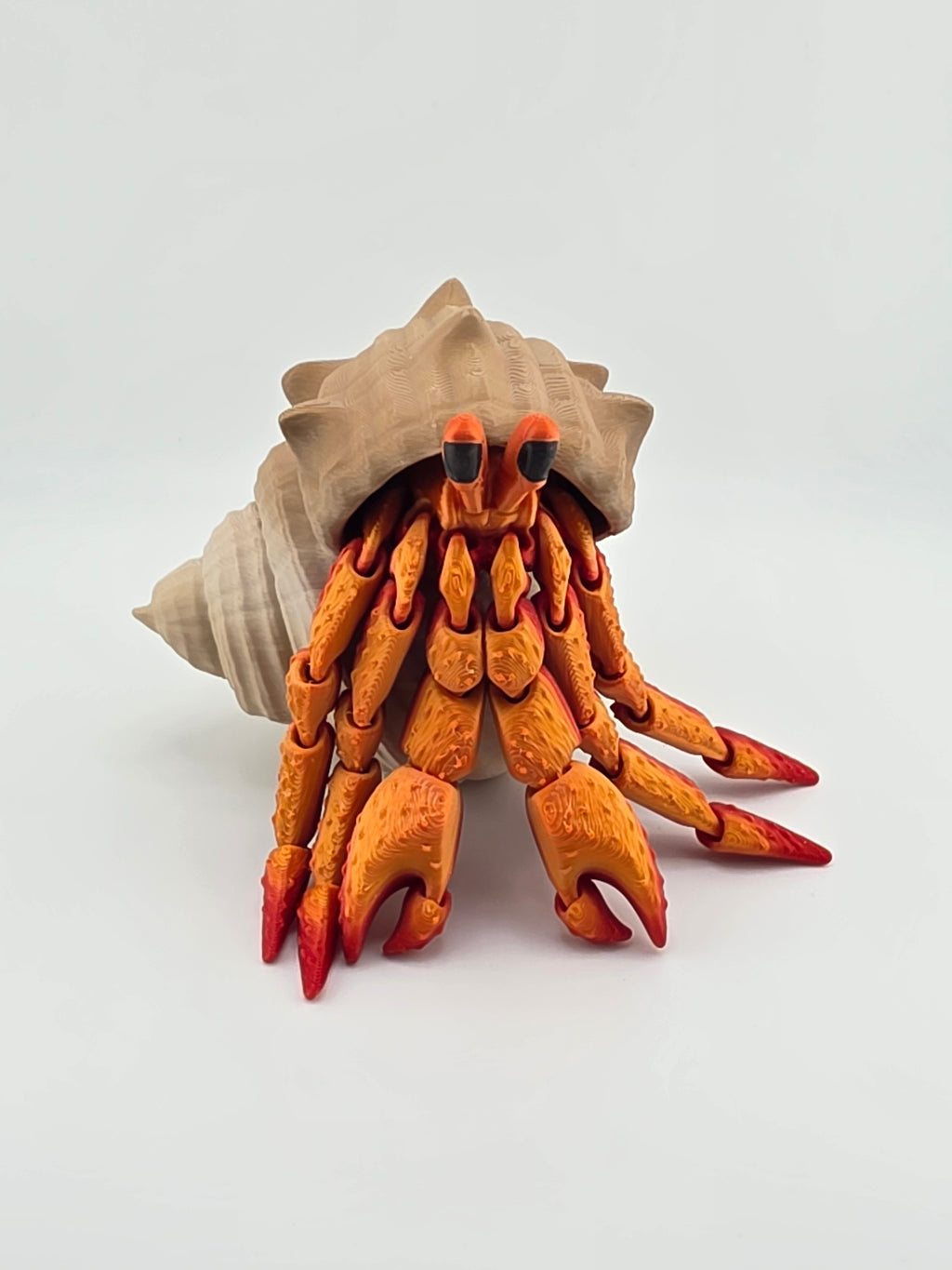 Hermit Crab