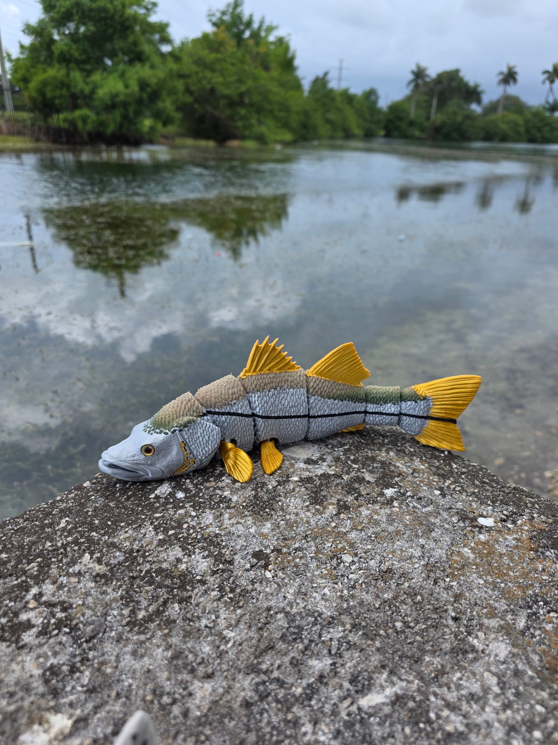 Snook