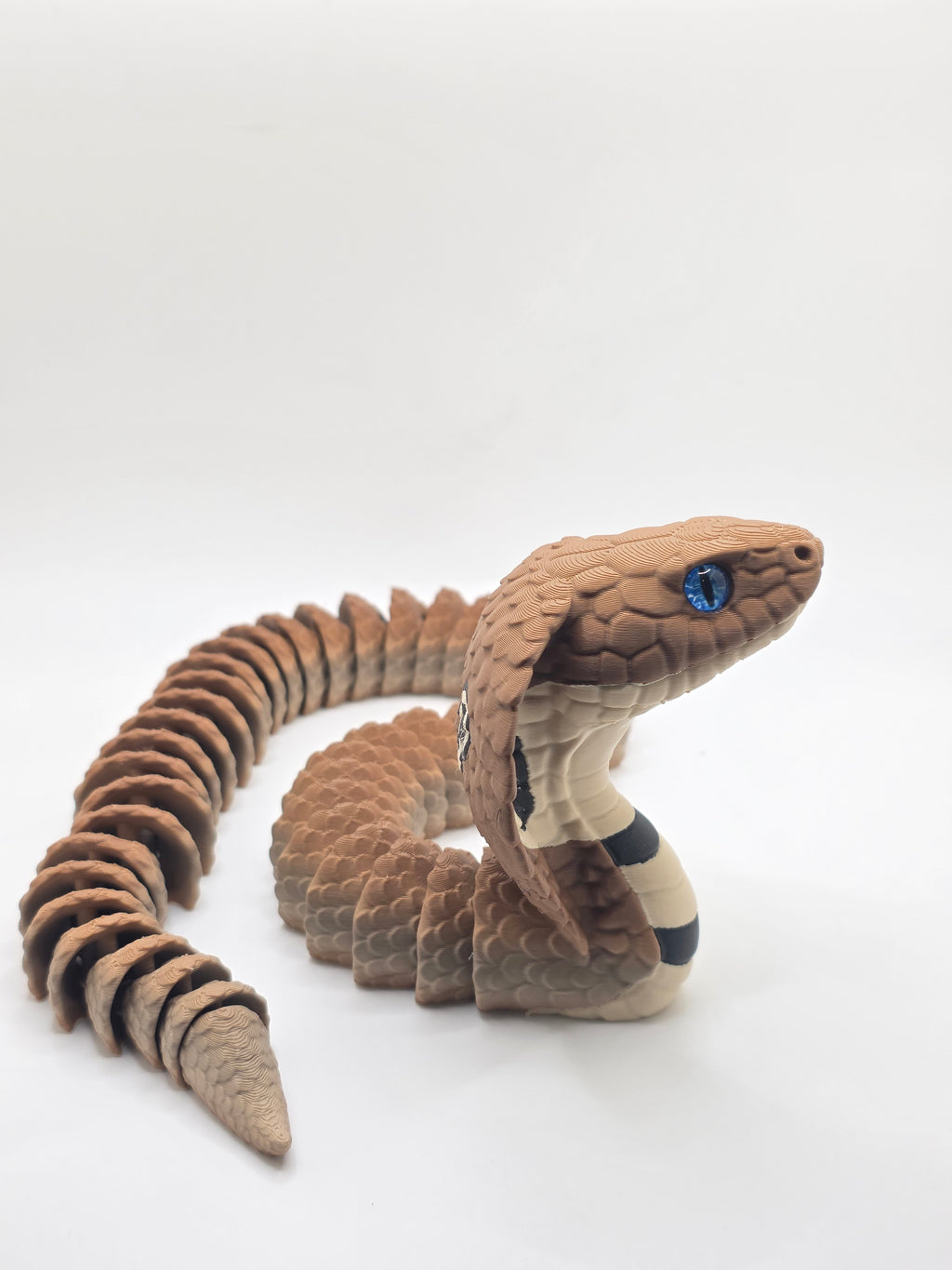 Cobra Snake