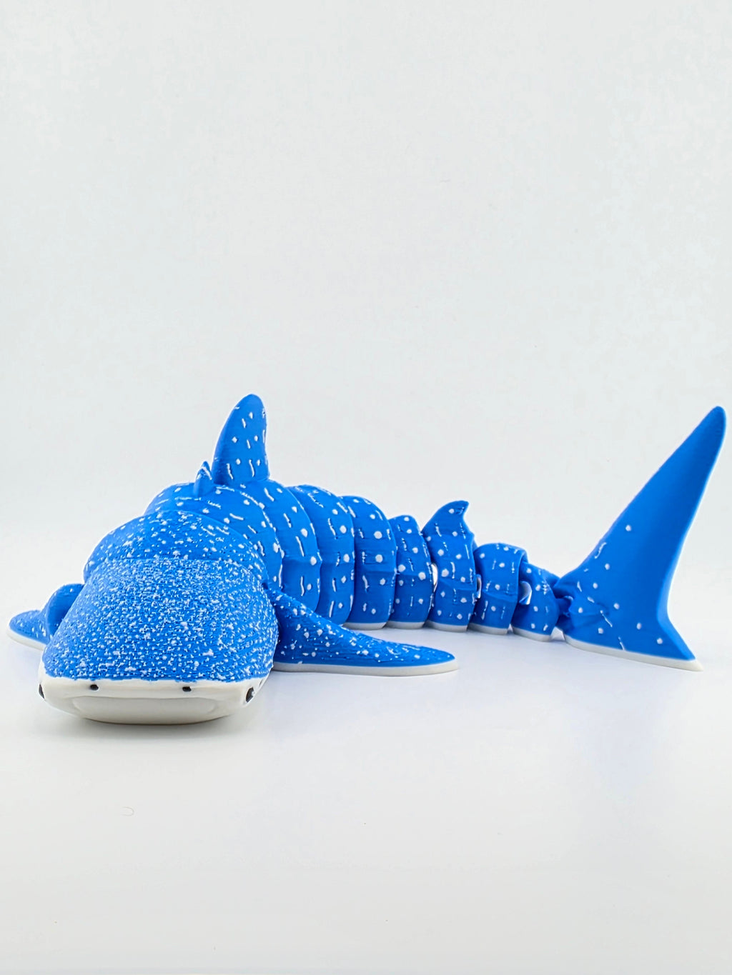 Whale Shark