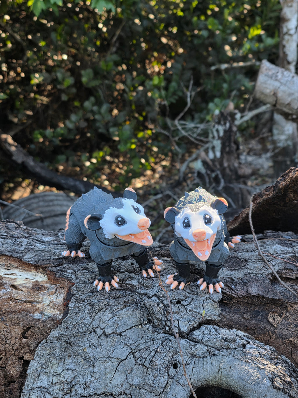 Opposum