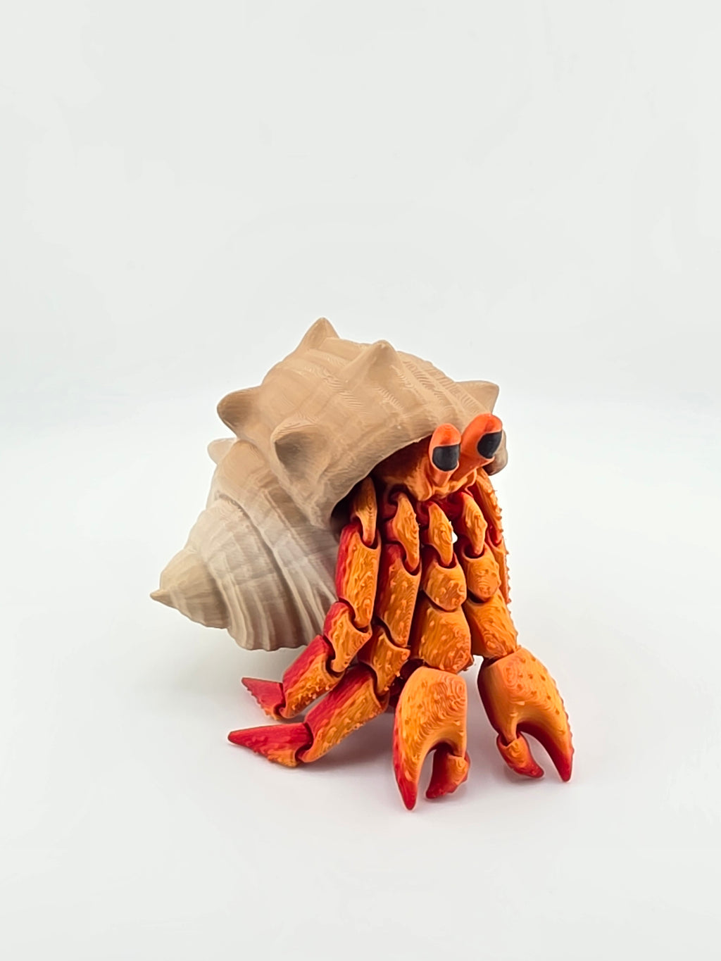 Hermit Crab