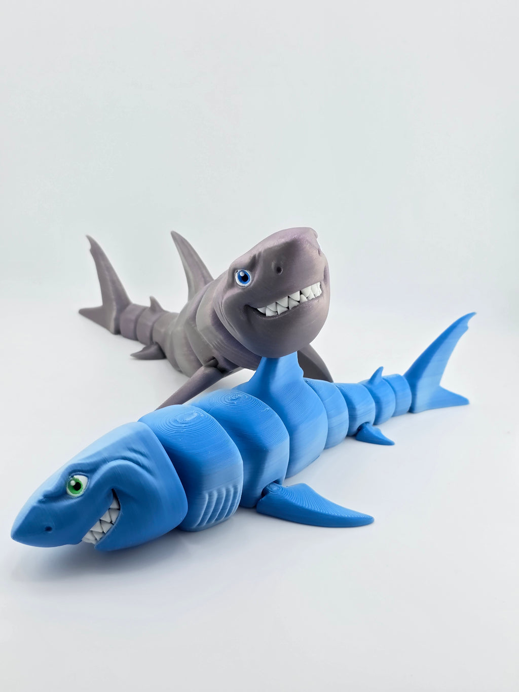 Great White Shark
