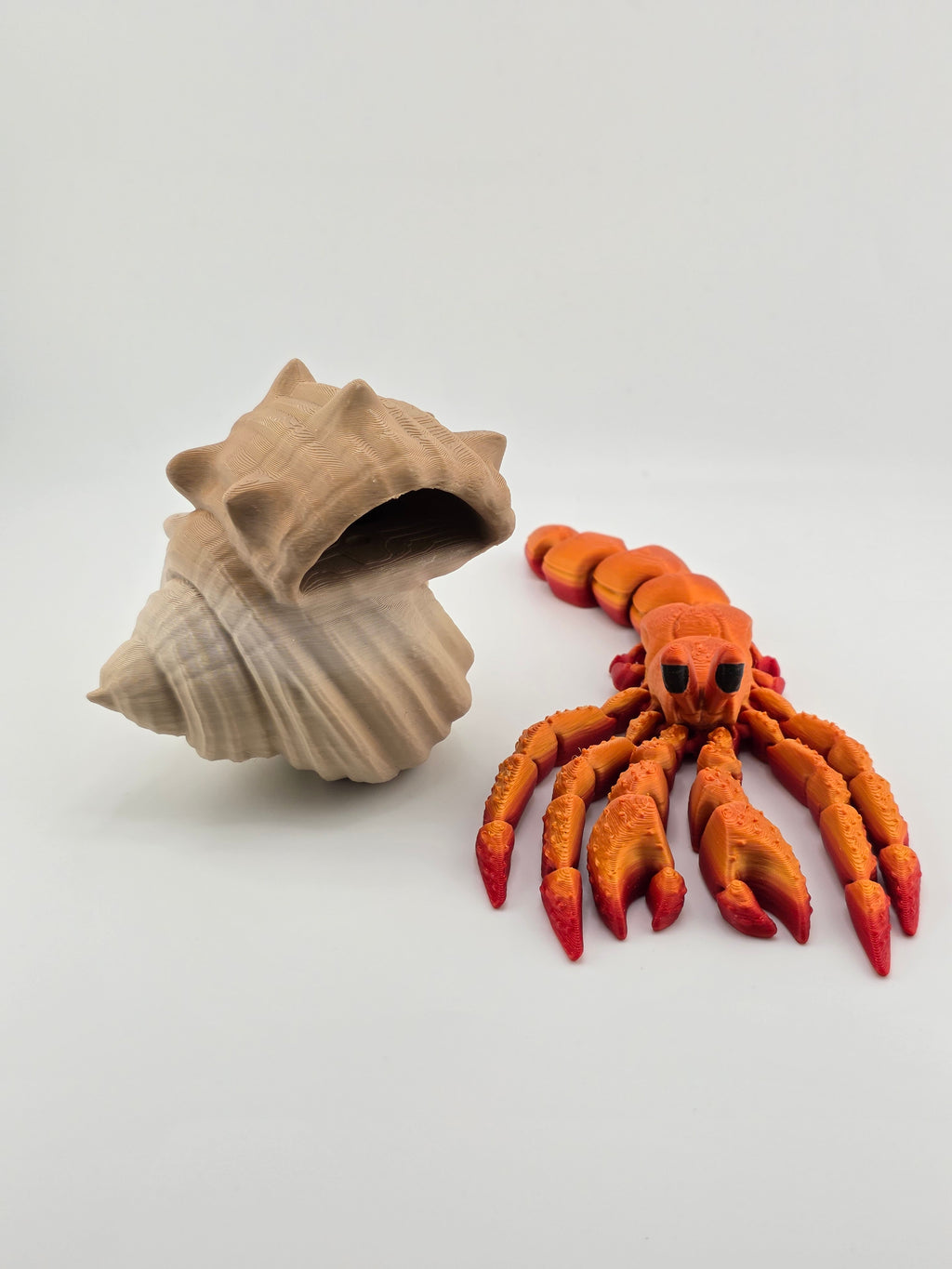Hermit Crab