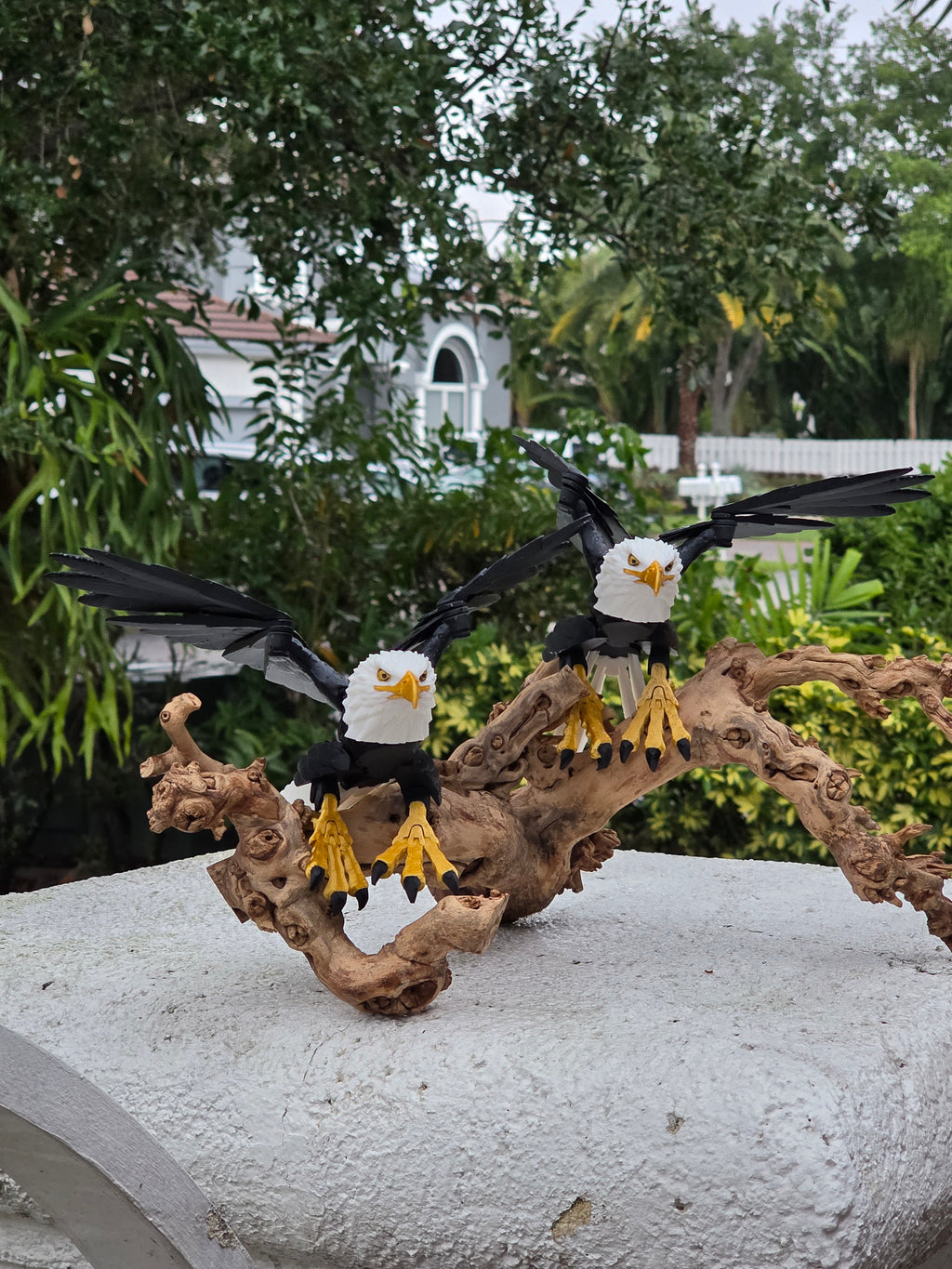 Eagle