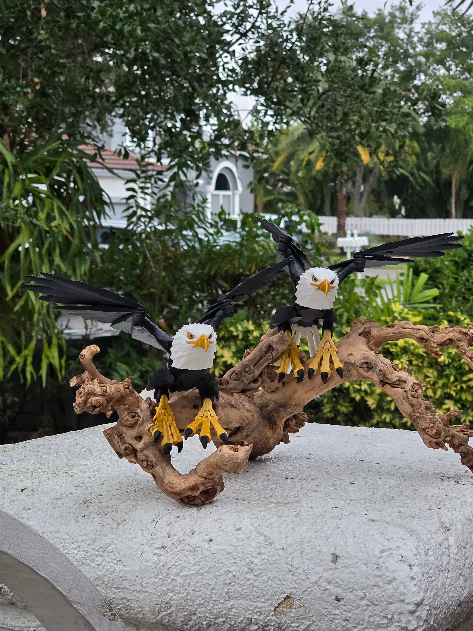Eagle