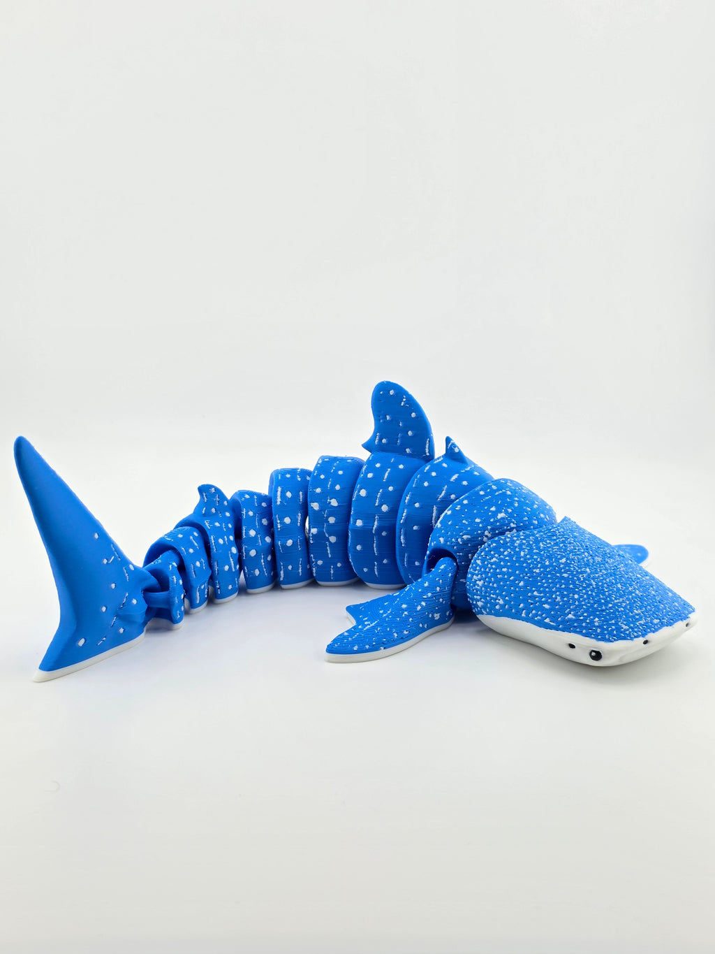 Whale Shark