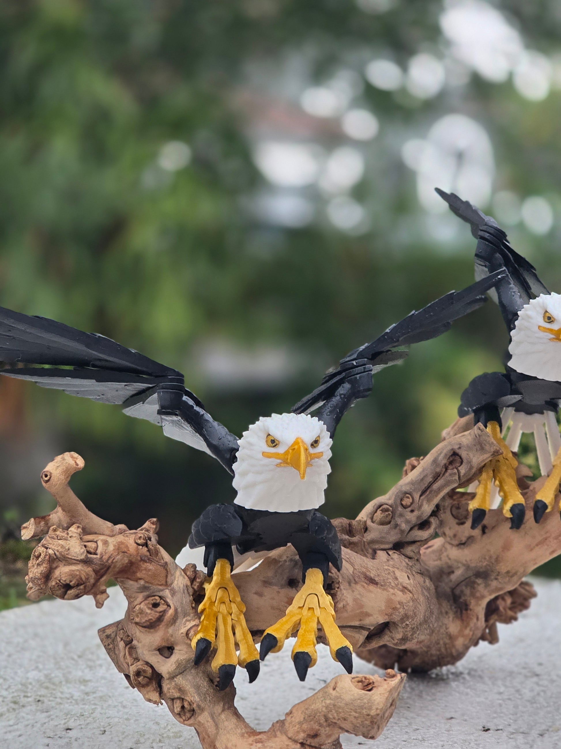 Eagle