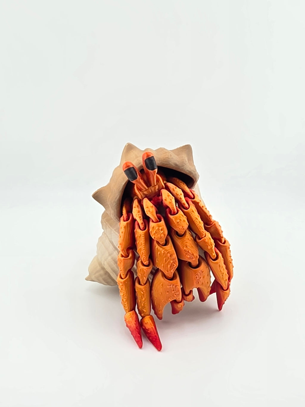 Hermit Crab