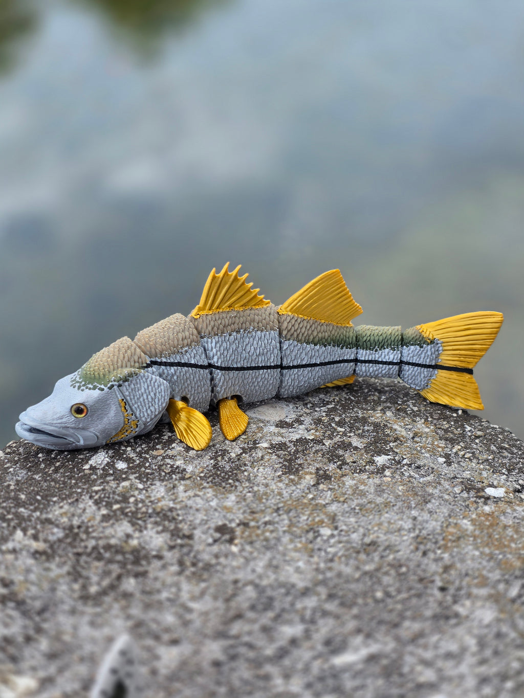 Snook