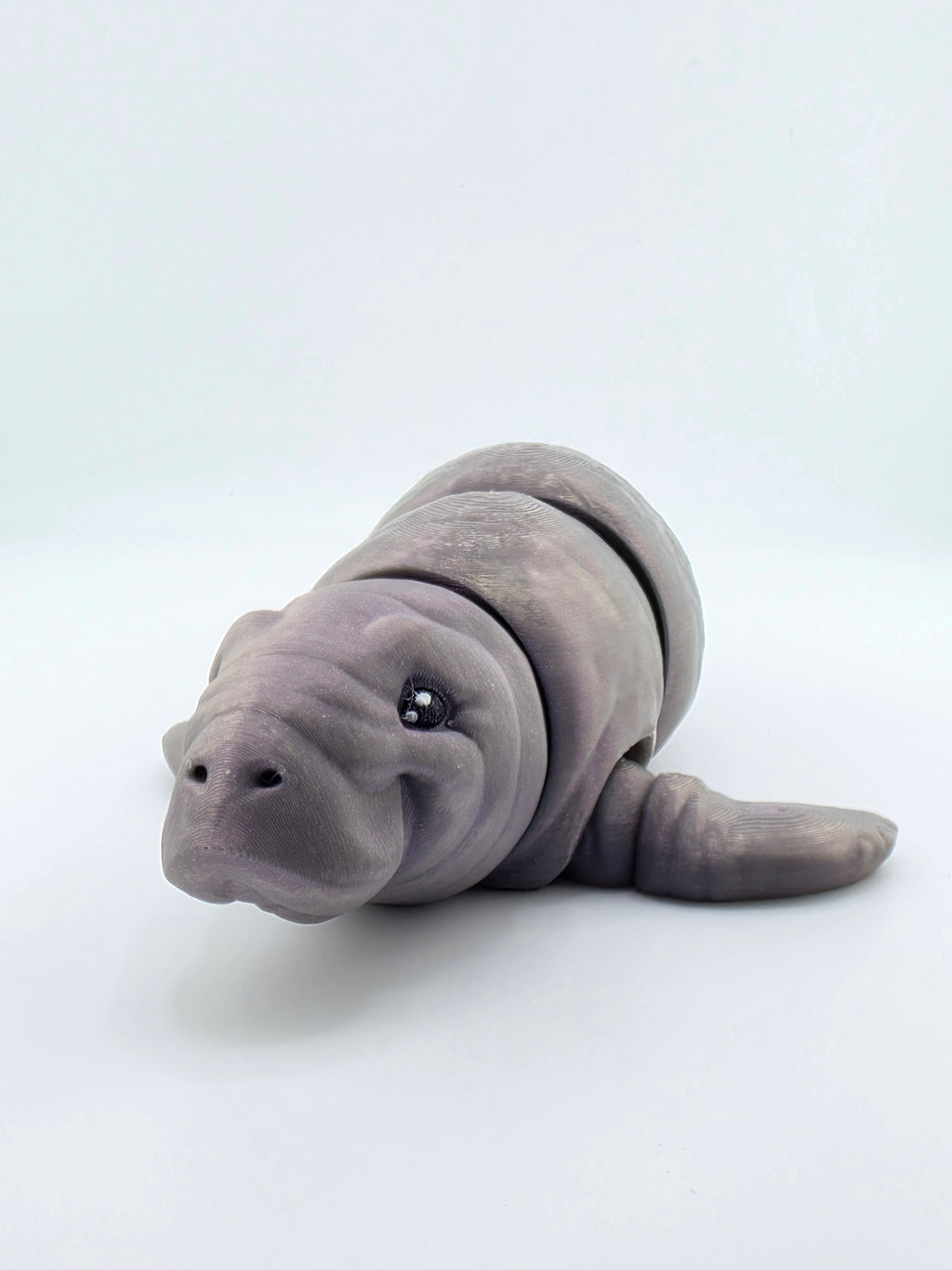 Manatee