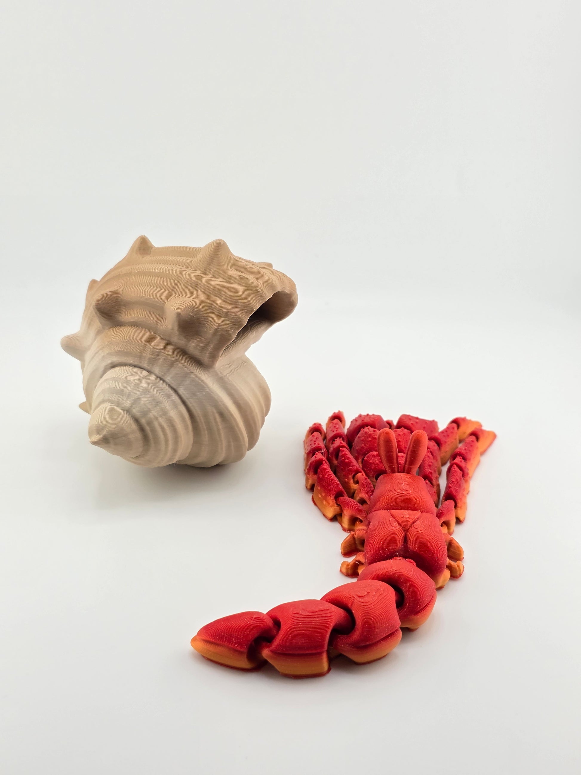 Hermit Crab