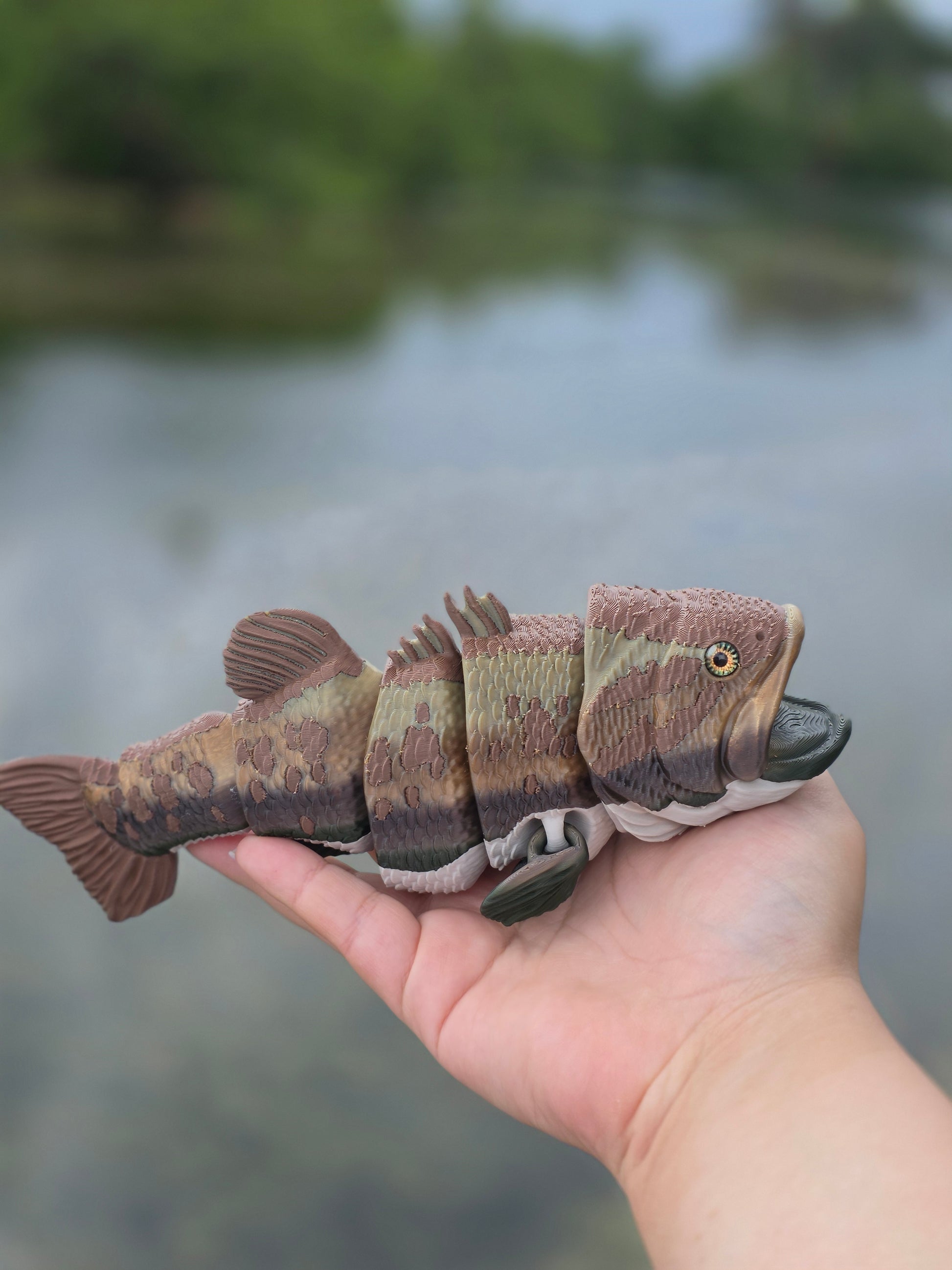 Bass