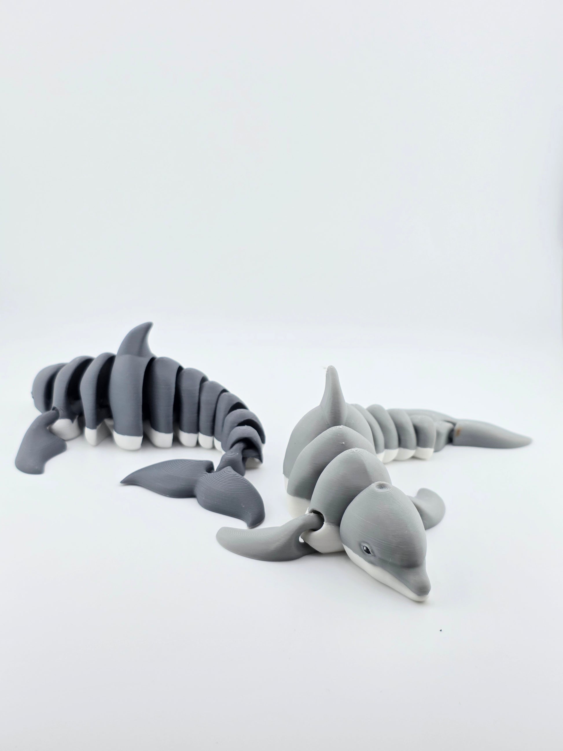 Dolphin