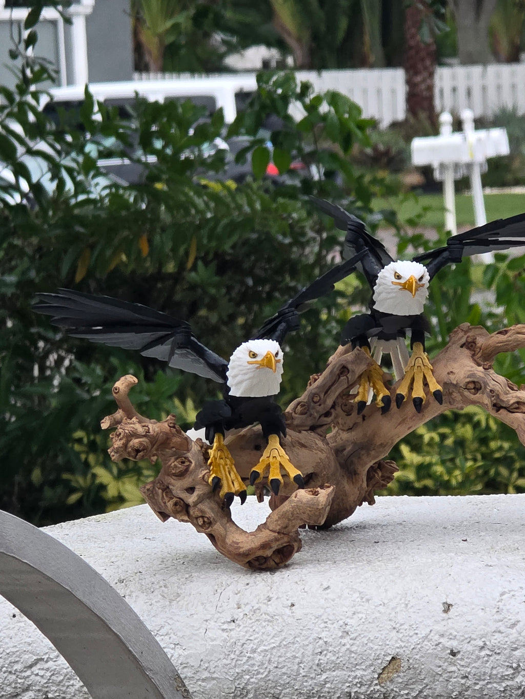 Eagle