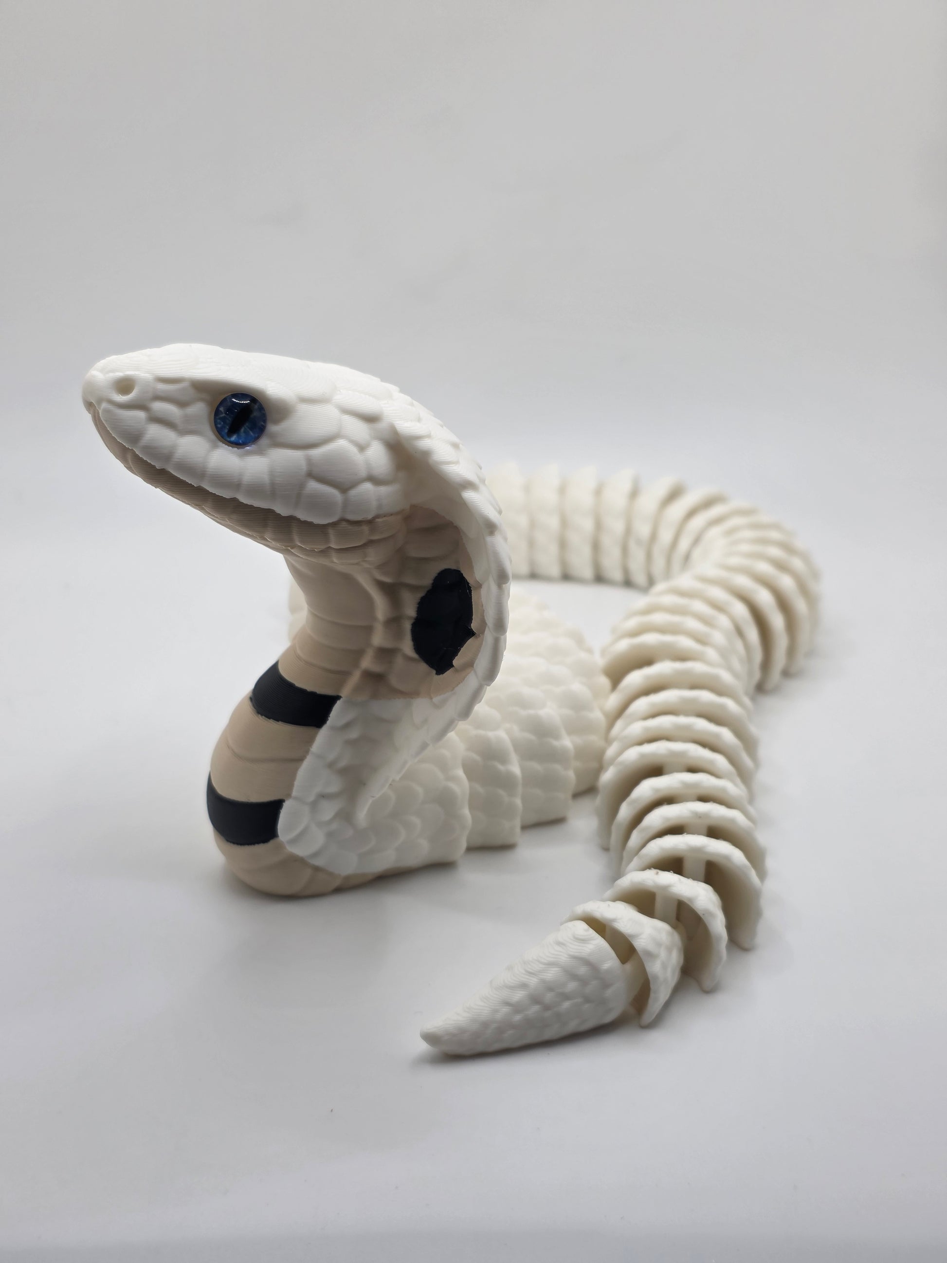 Cobra Snake