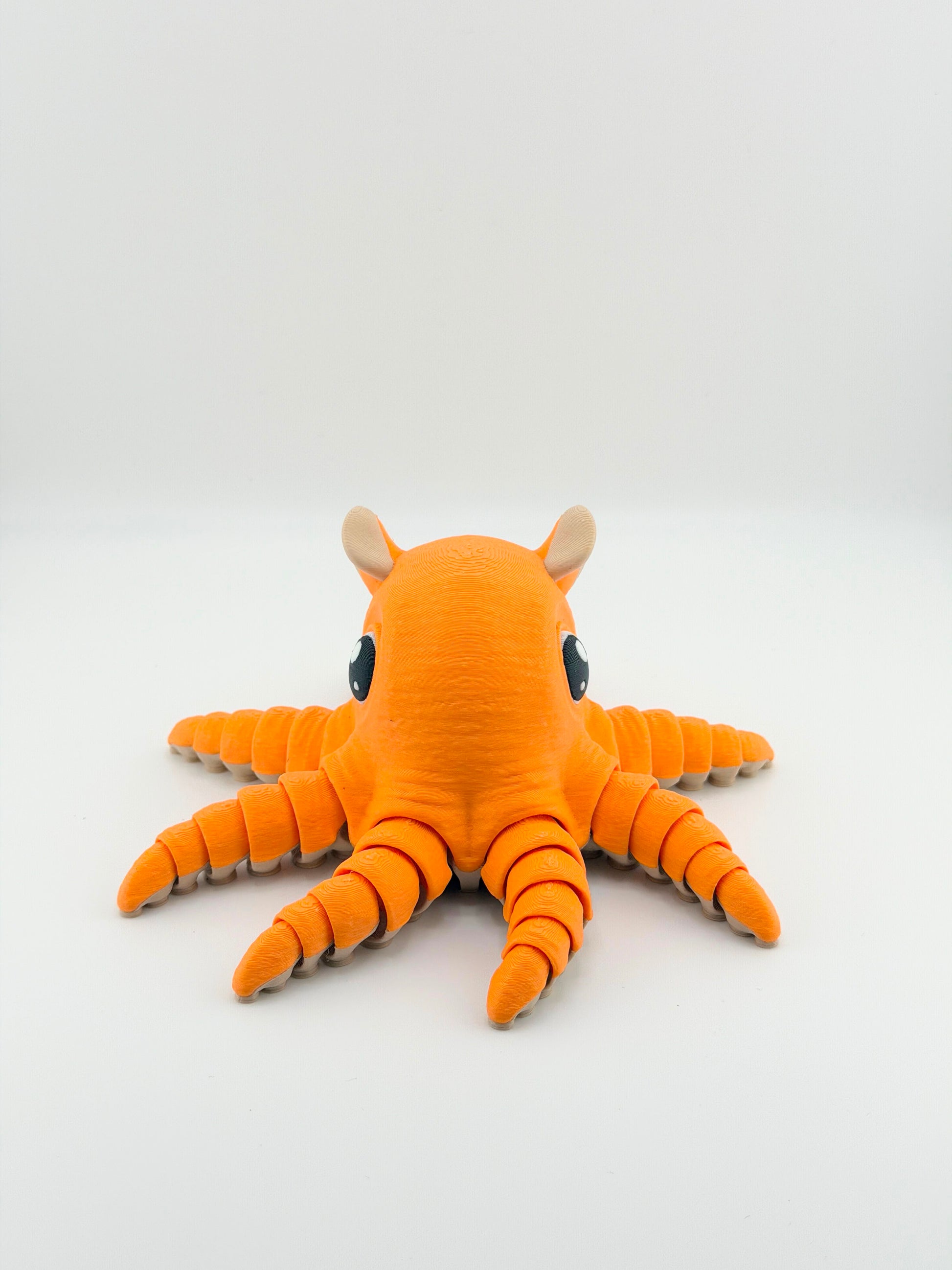 Flapjack Octopus